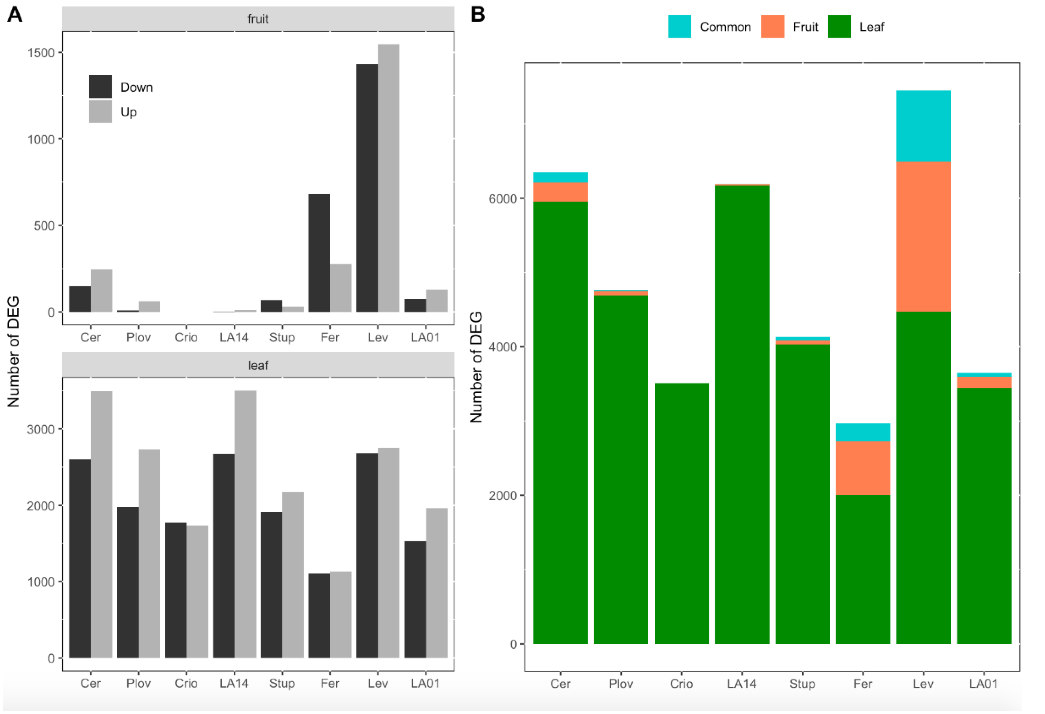 Genes 11 00900 g003 Genes 11 00900 g003