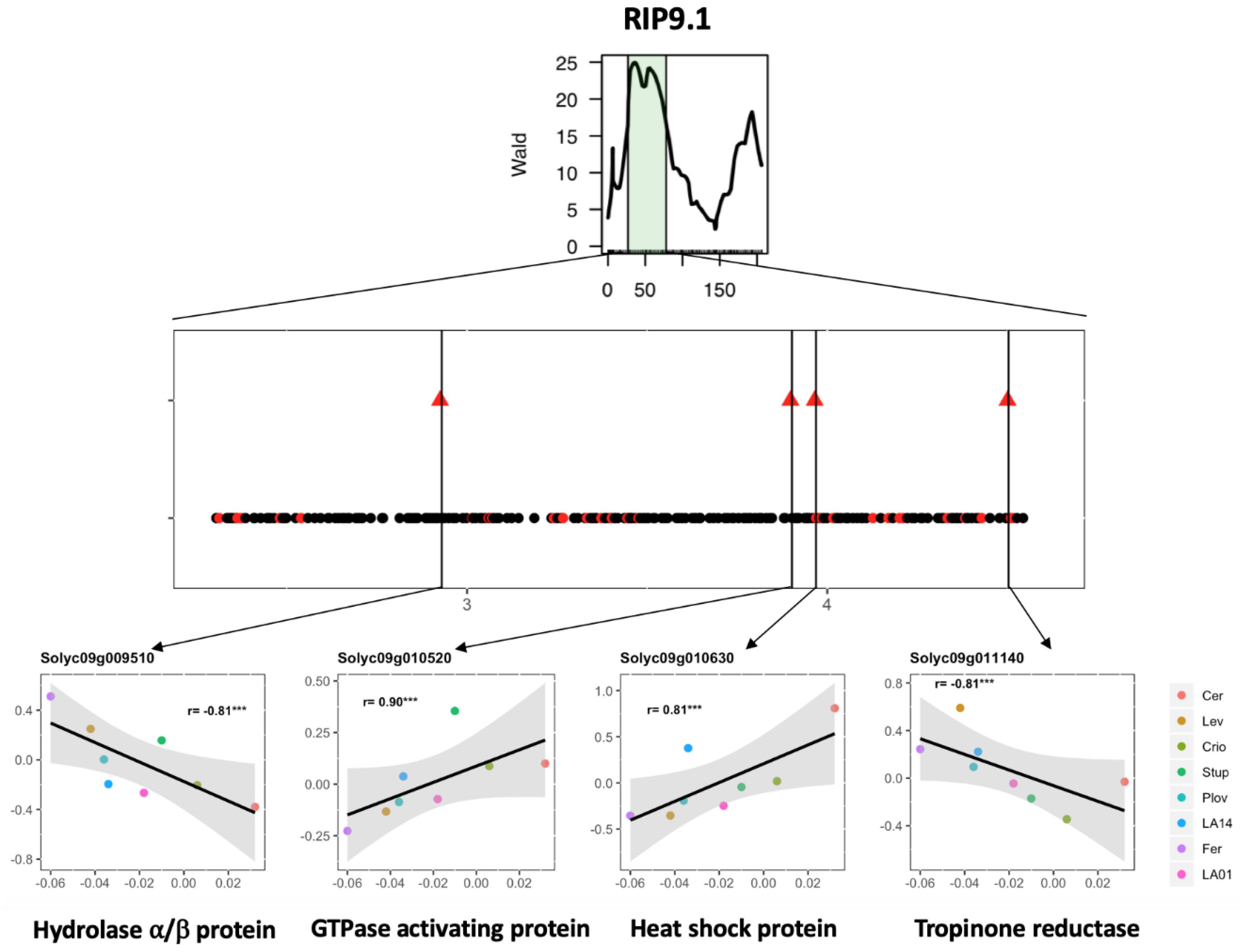 Genes 11 00900 g005 Genes 11 00900 g005