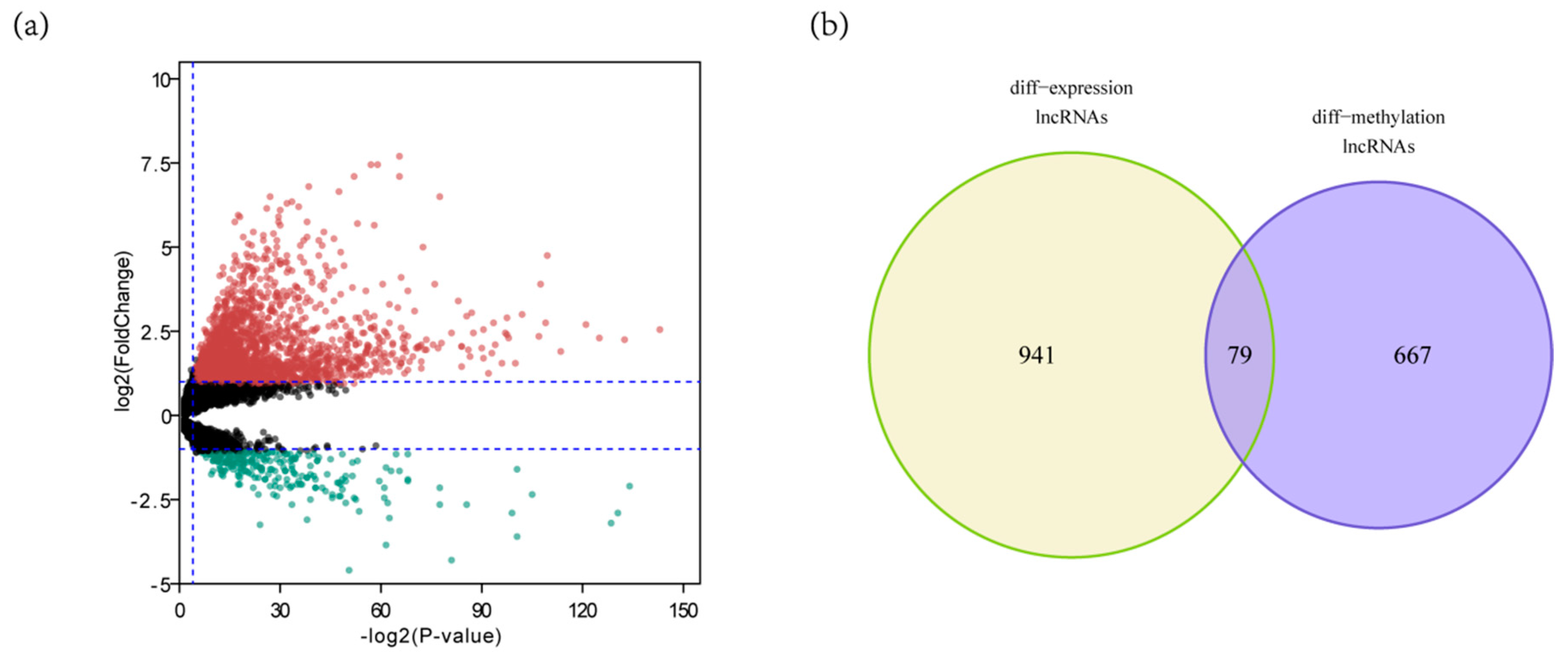 Genes 11 00908 g002 Genes 11 00908 g002