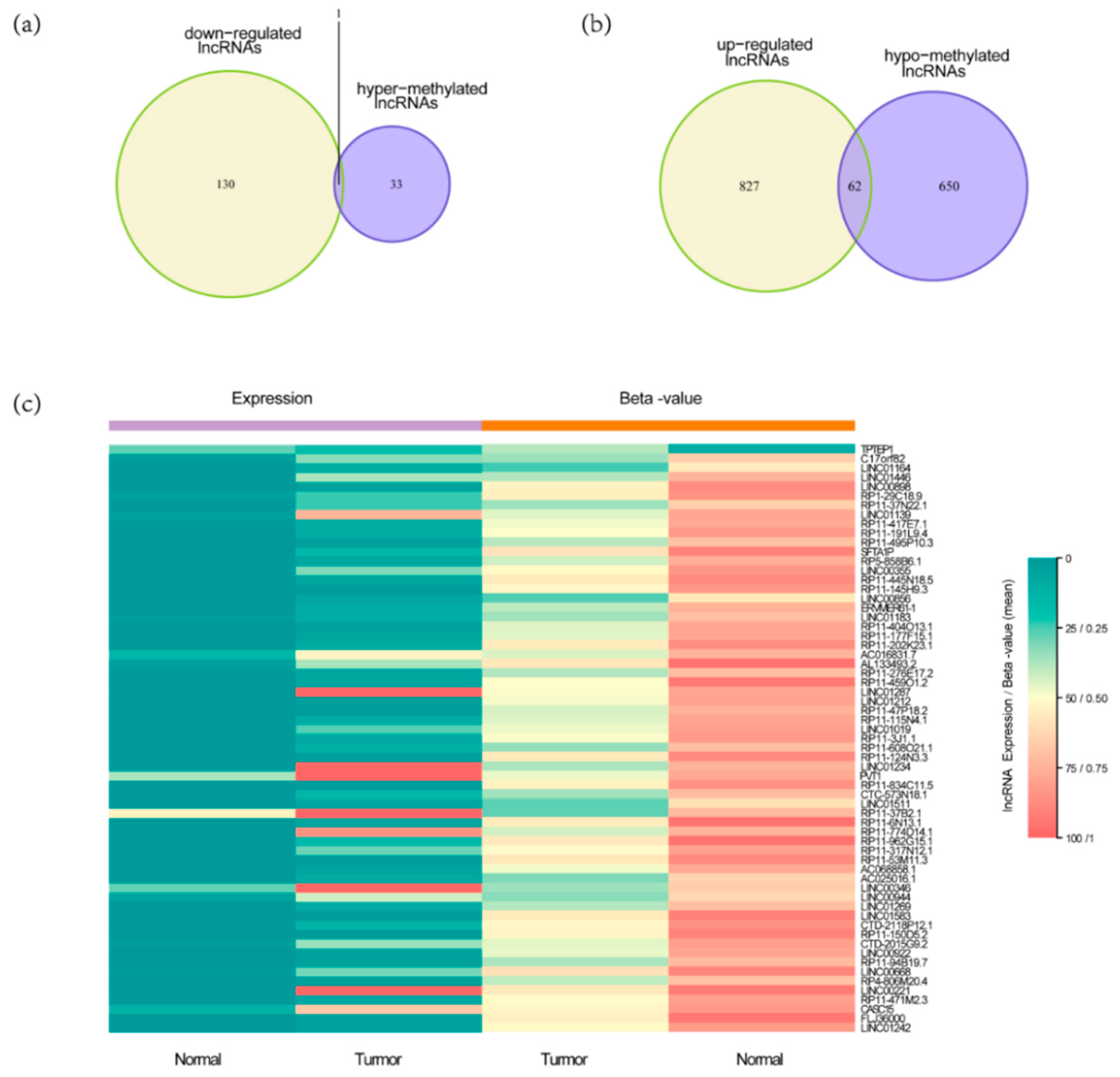 Genes 11 00908 g003 Genes 11 00908 g003