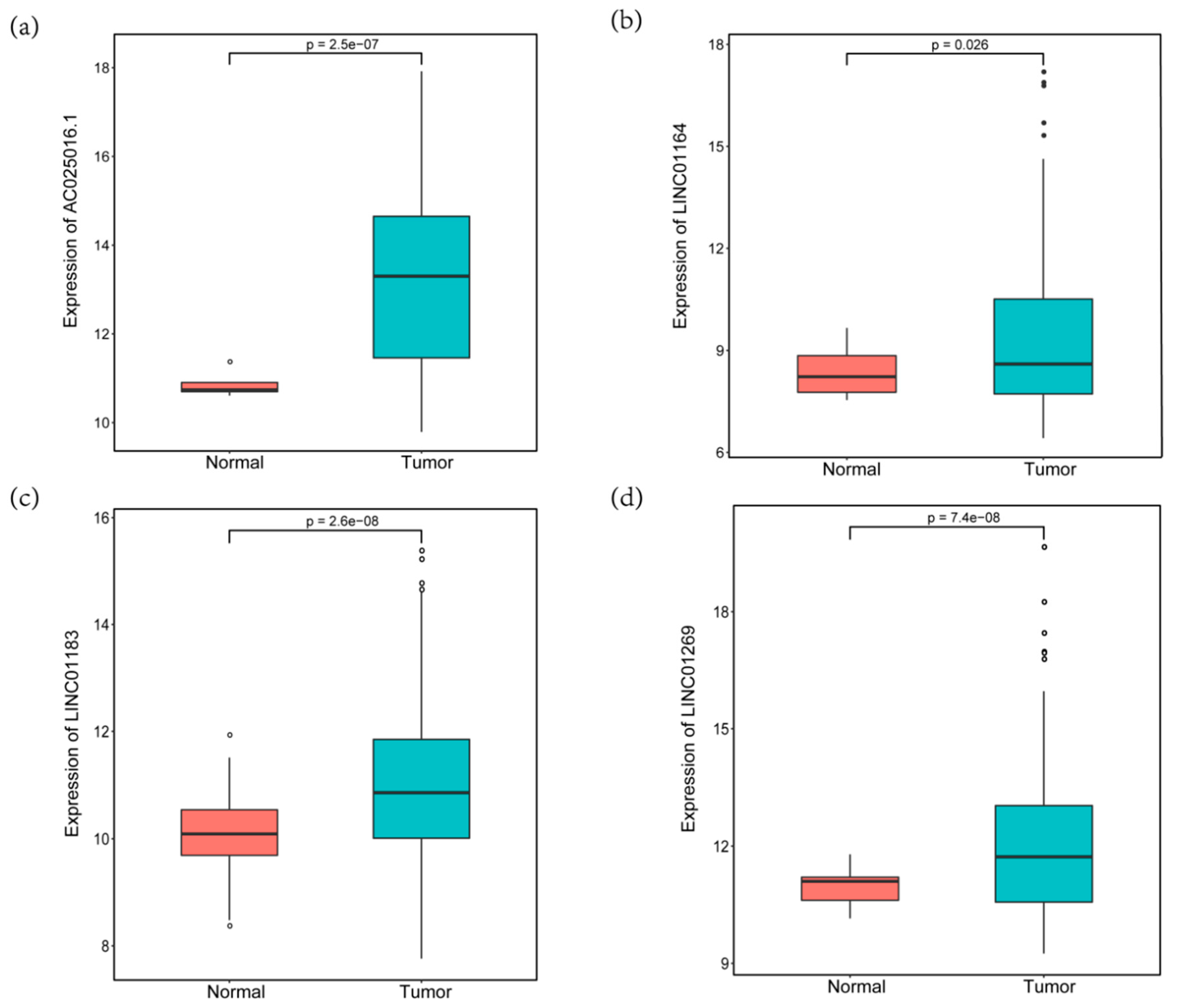 Genes 11 00908 g004 Genes 11 00908 g004