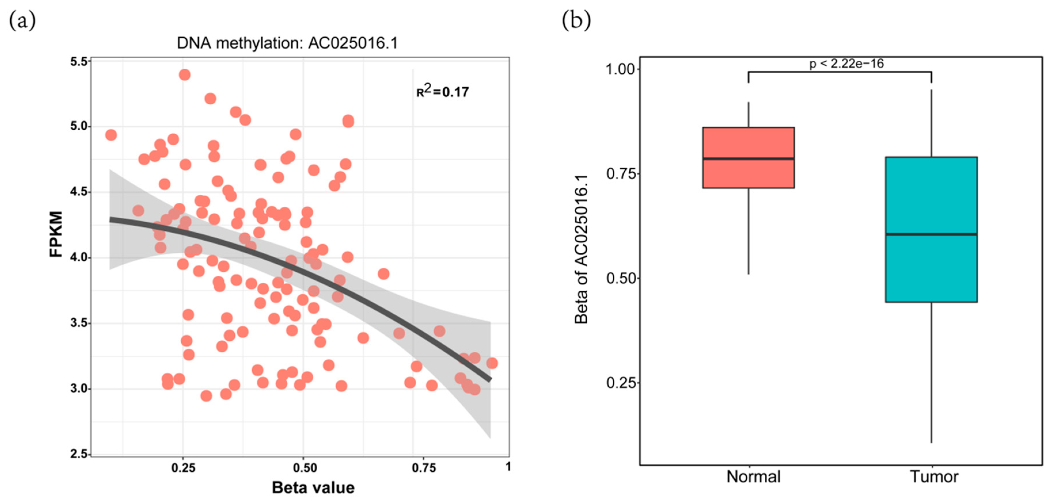 Genes 11 00908 g005 Genes 11 00908 g005