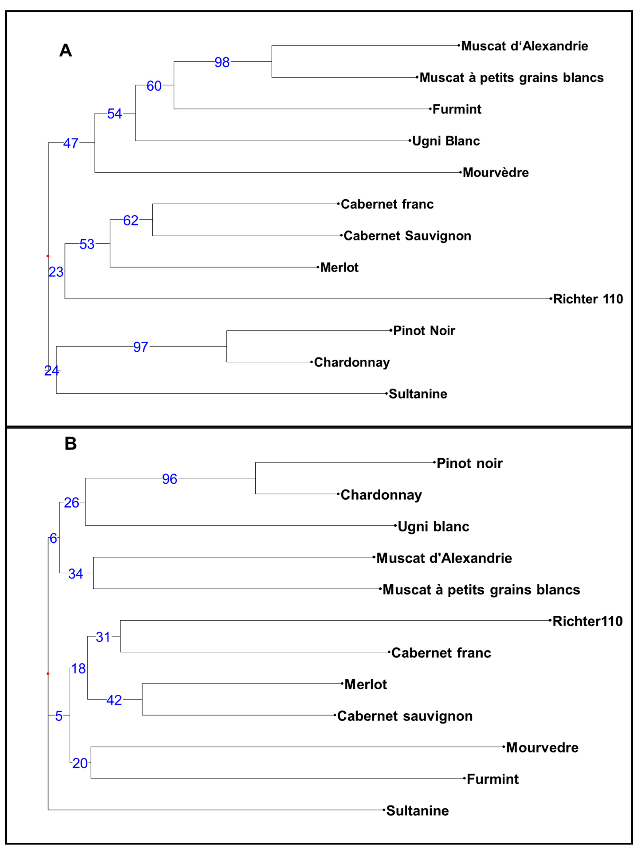 Genes 11 00917 g002 Genes 11 00917 g002