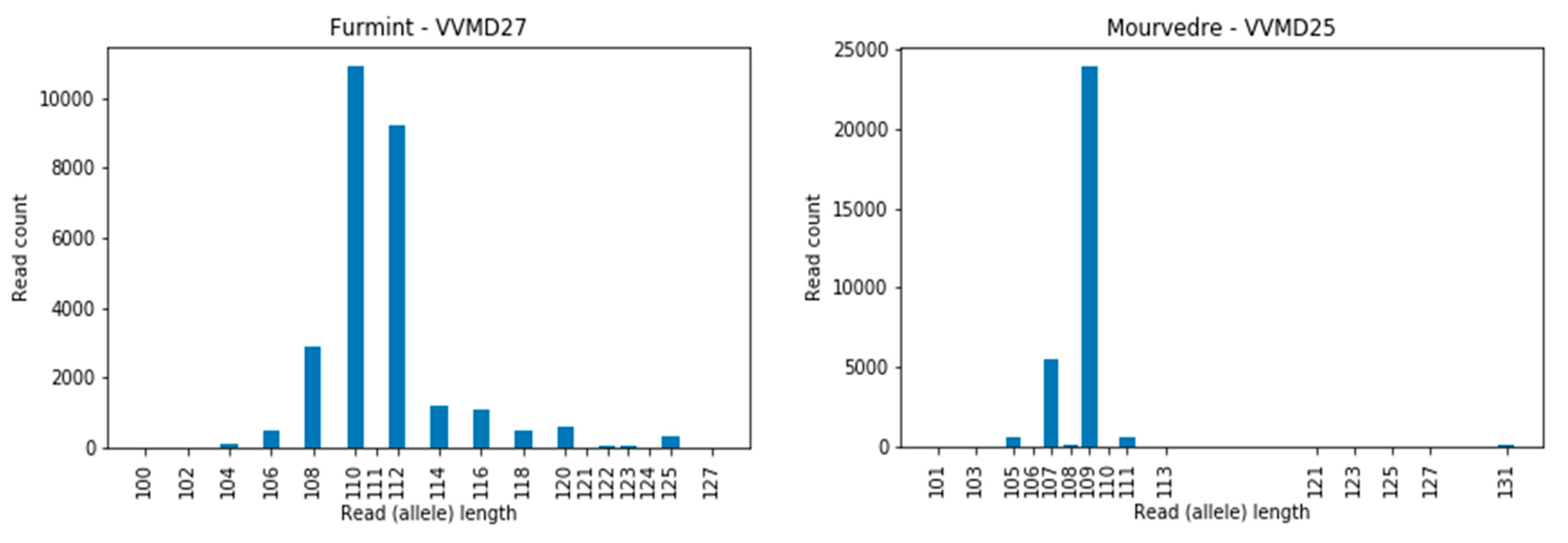 Genes 11 00917 g003 Genes 11 00917 g003
