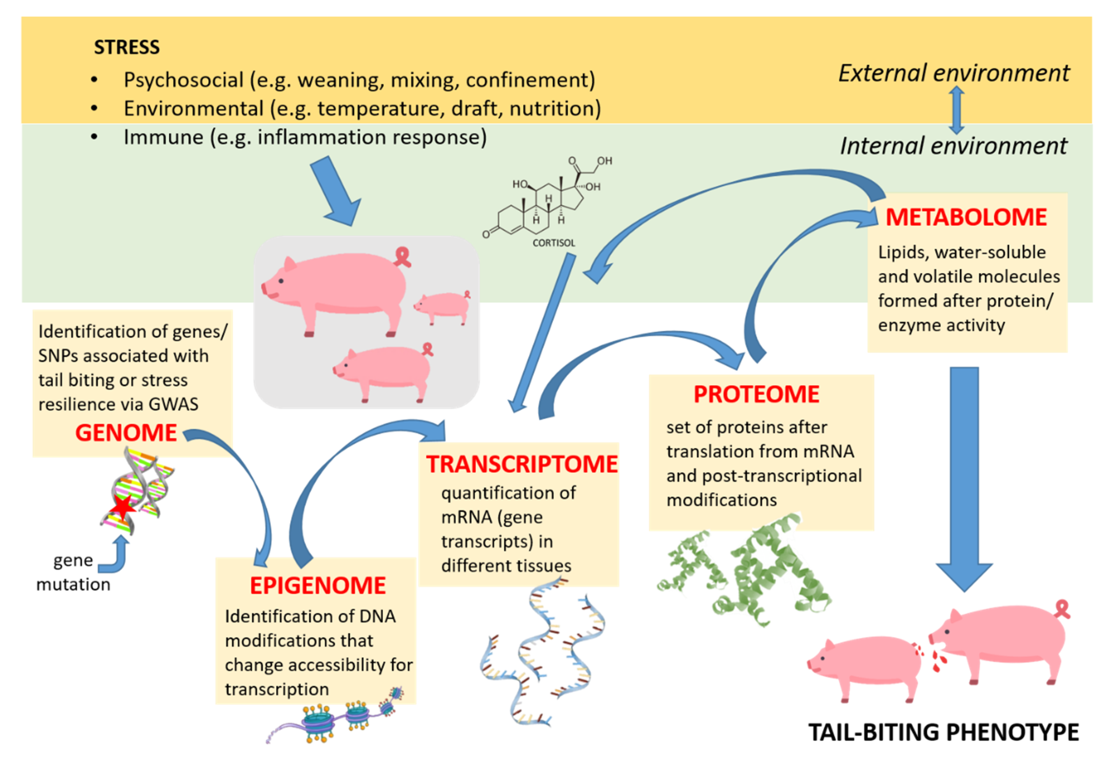 Genes 11 00920 g001