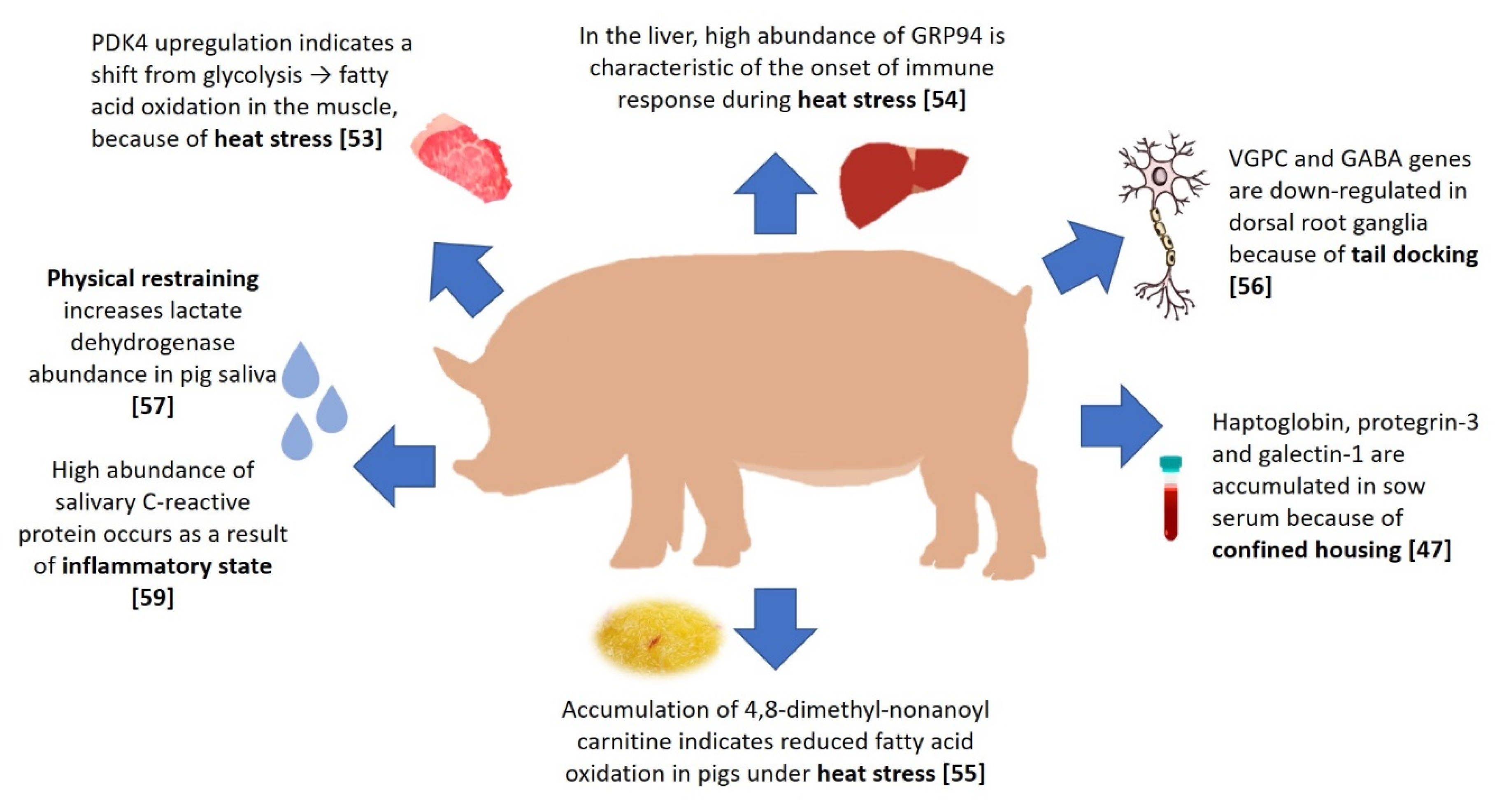 Genes 11 00920 g002