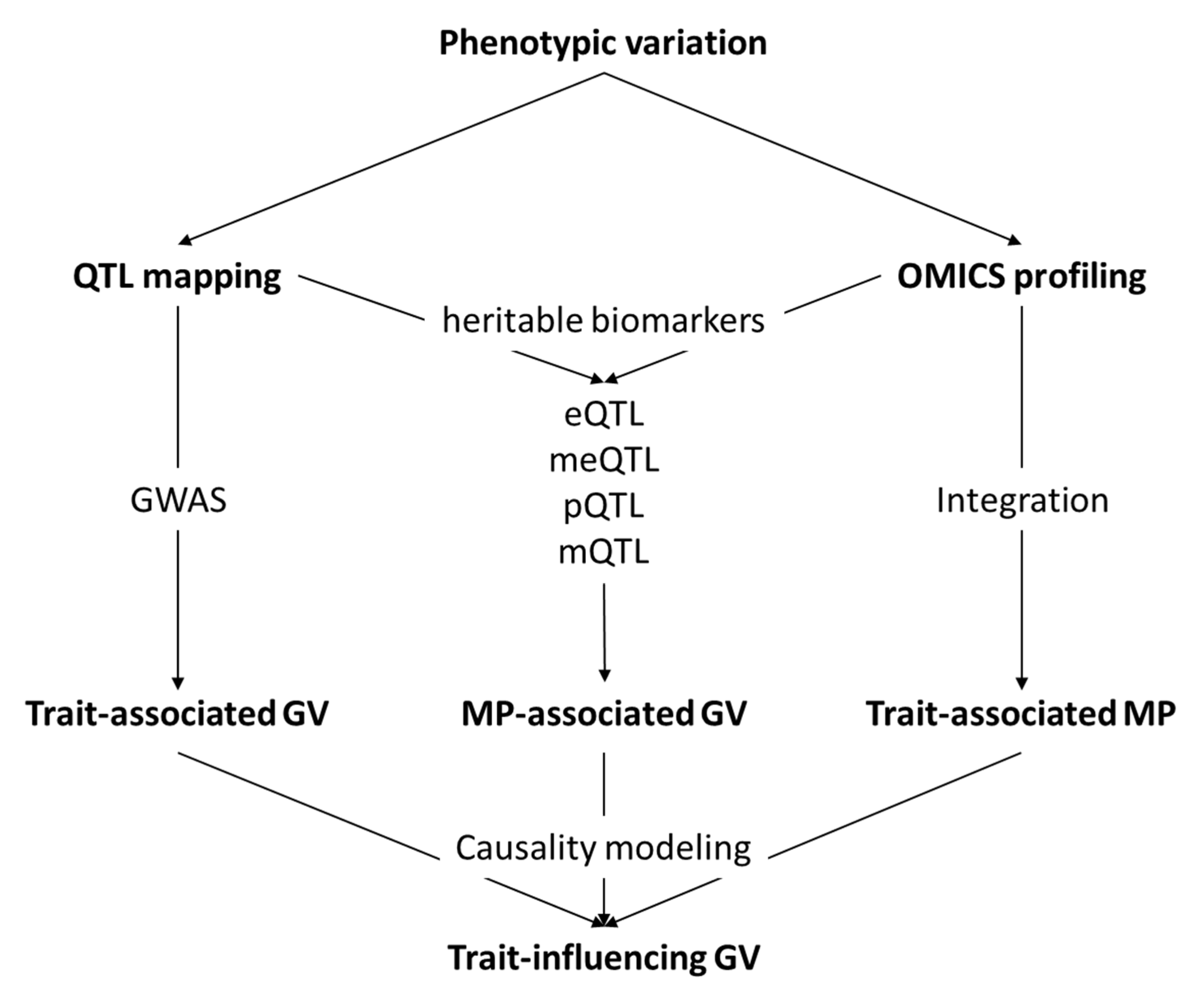 Genes 11 00920 g003