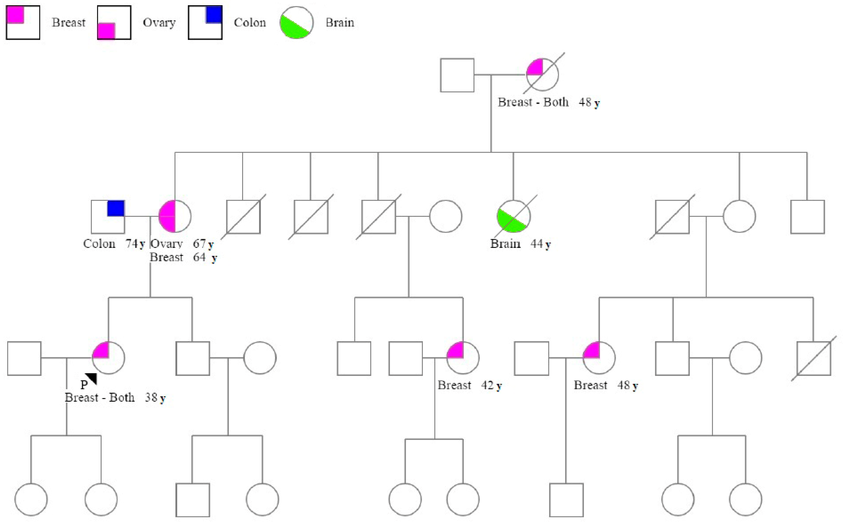 Genes 11 00925 g001 Genes 11 00925 g001