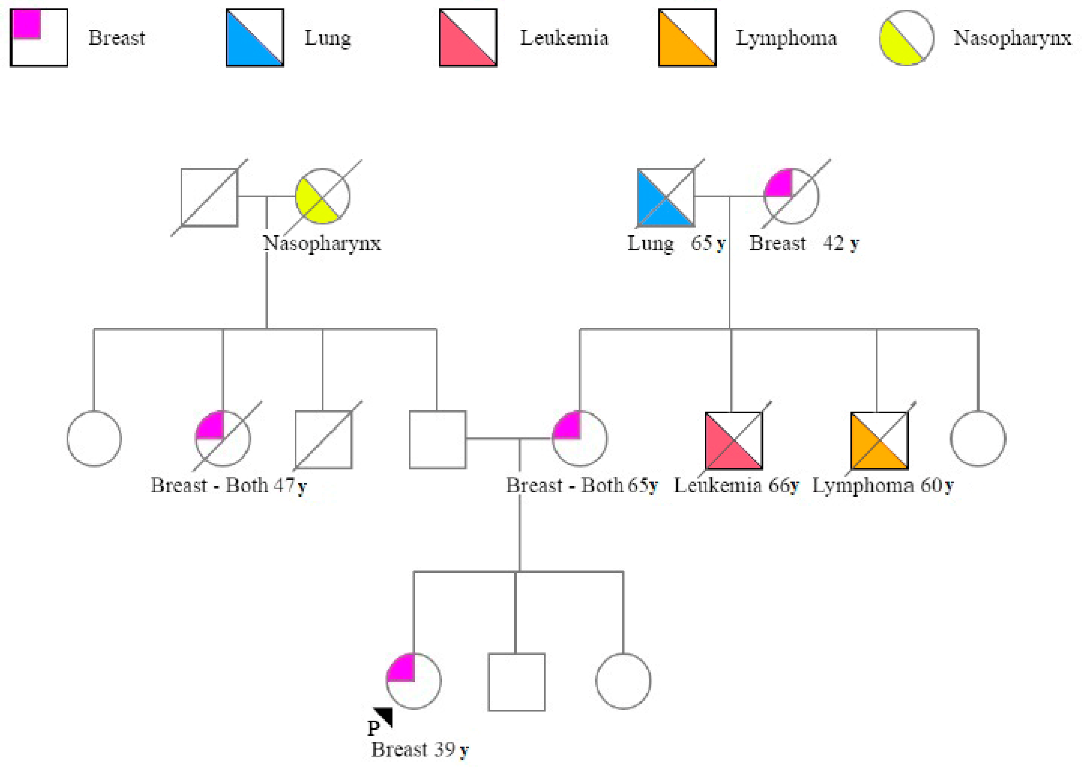 Genes 11 00925 g002 Genes 11 00925 g002