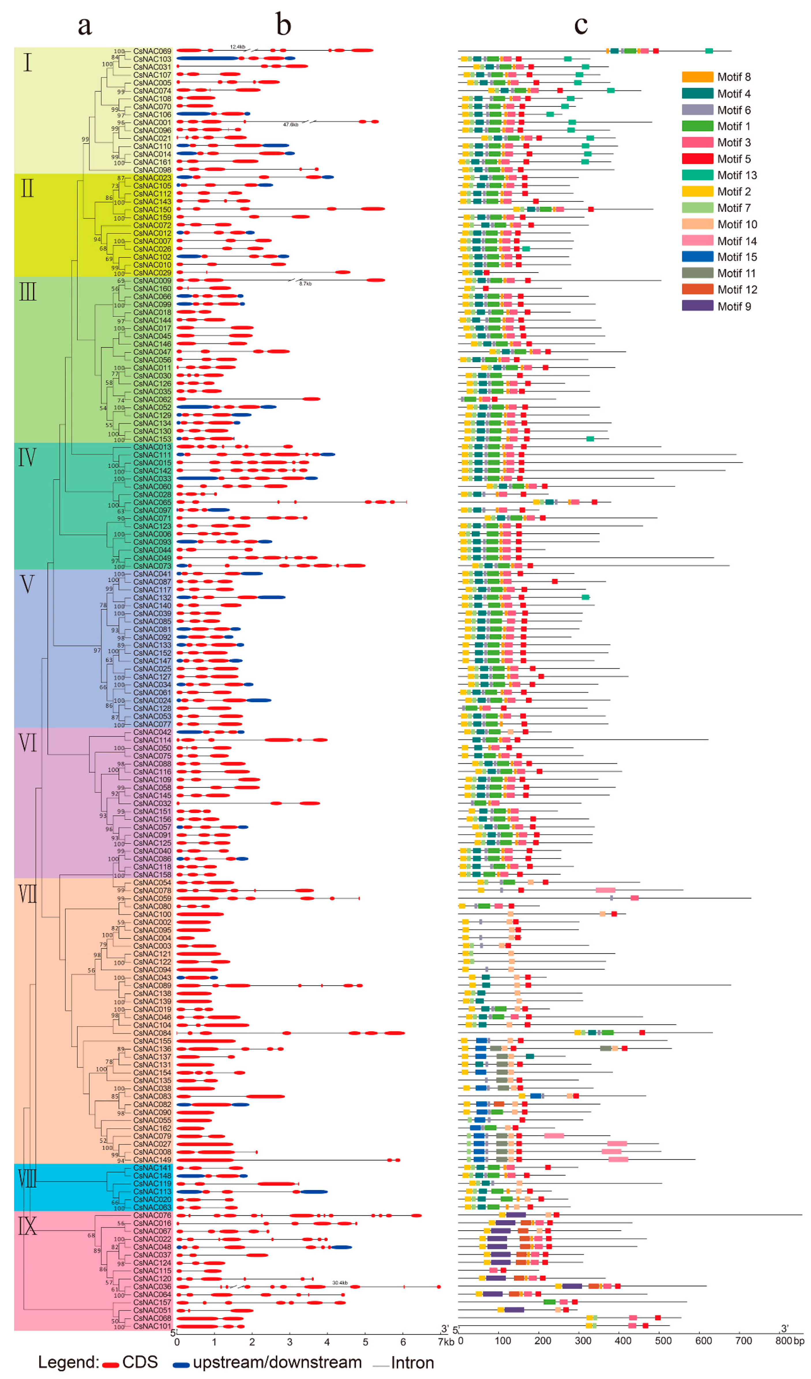 Genes 11 00927 g004 Genes 11 00927 g004