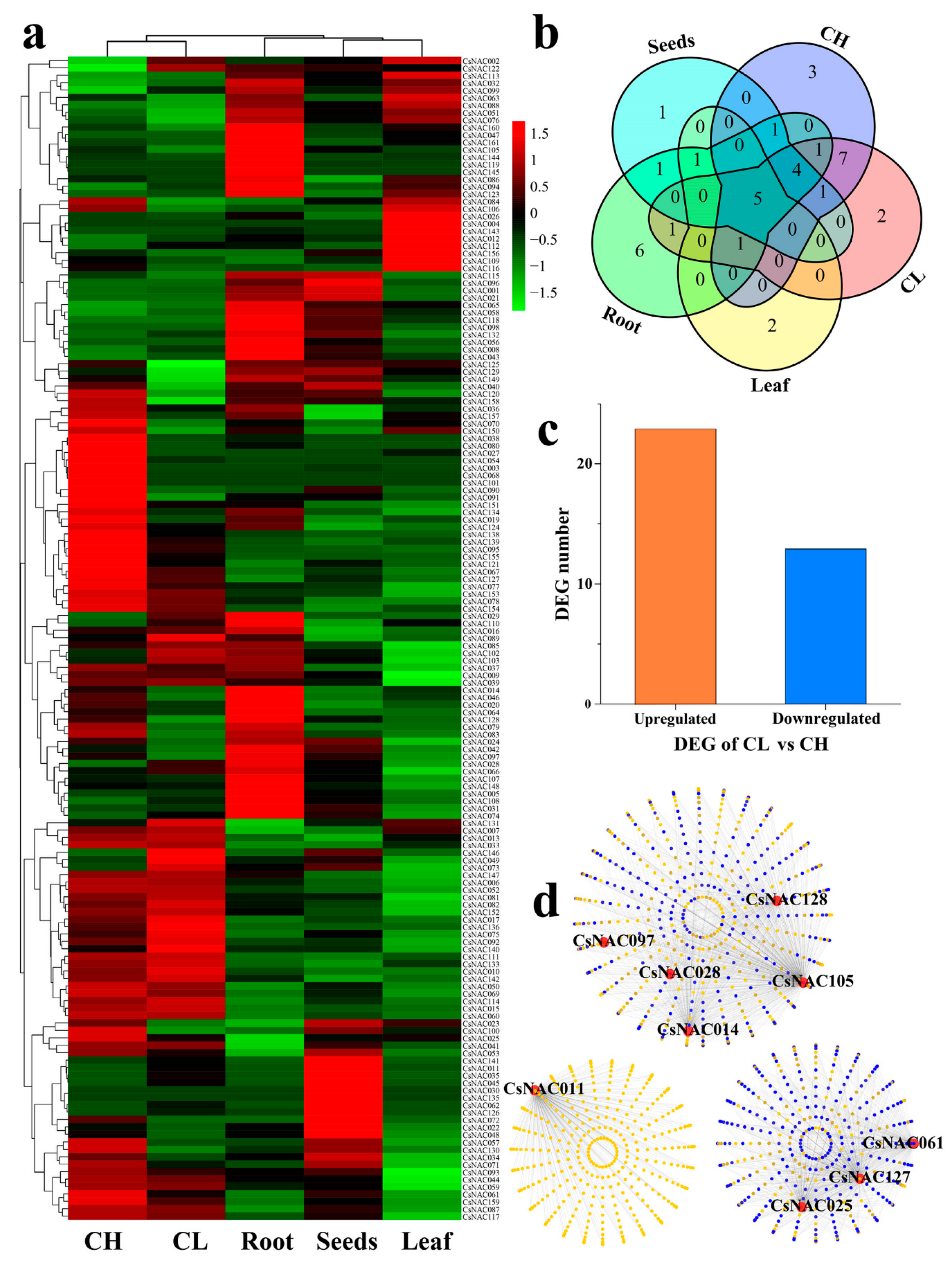 Genes 11 00927 g007 Genes 11 00927 g007