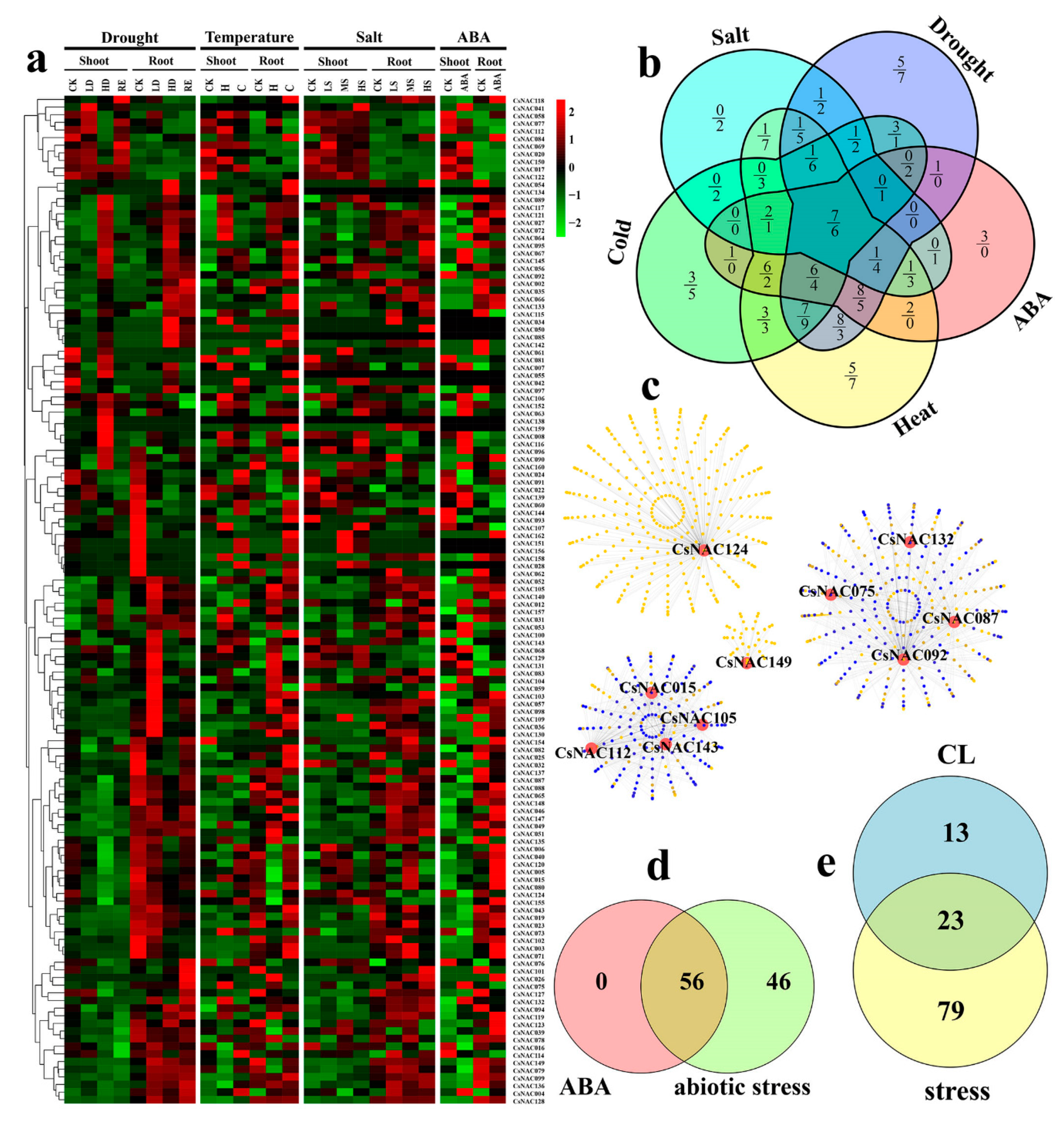 Genes 11 00927 g008 Genes 11 00927 g008