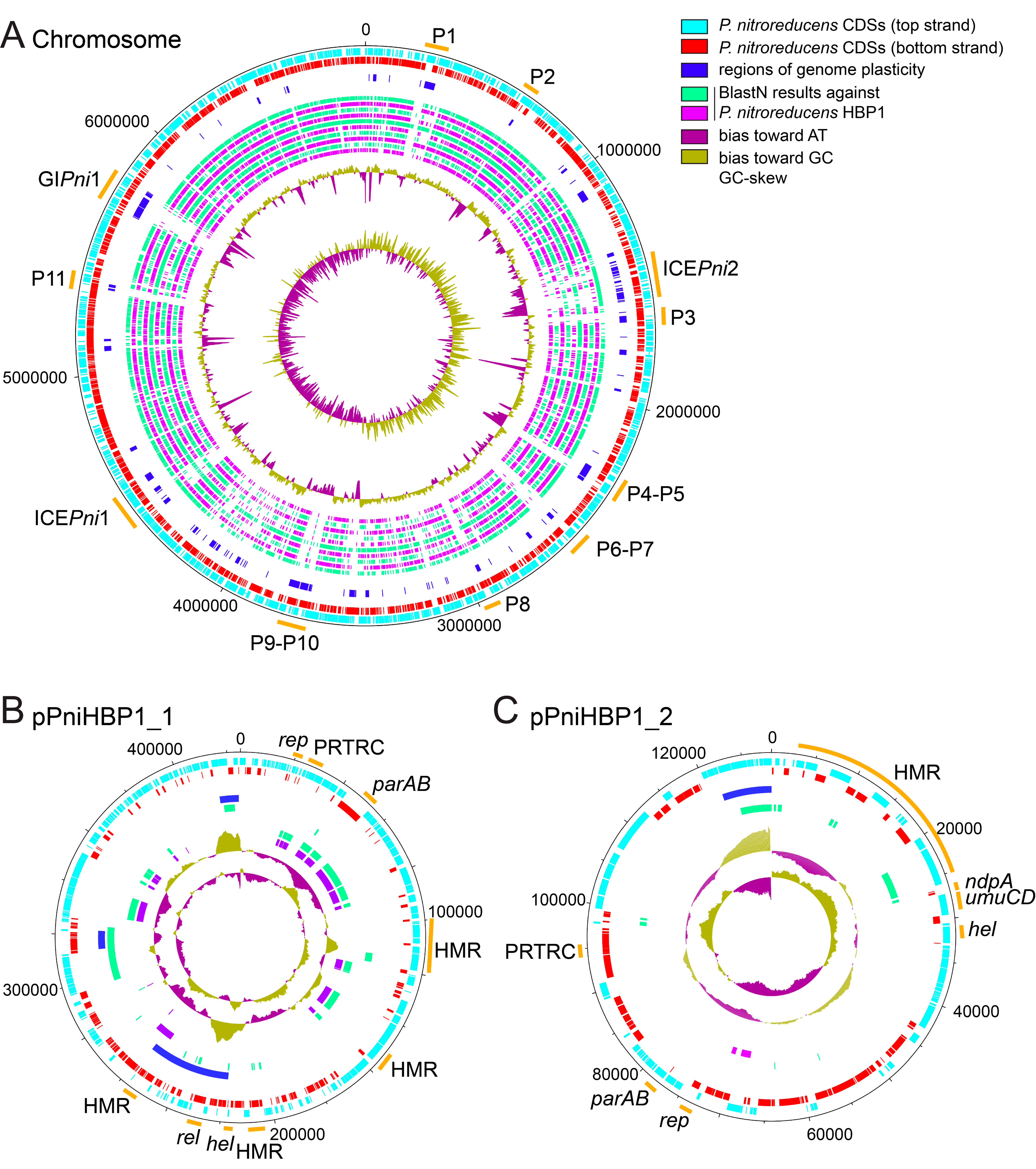 Genes 11 00930 g001 Genes 11 00930 g001