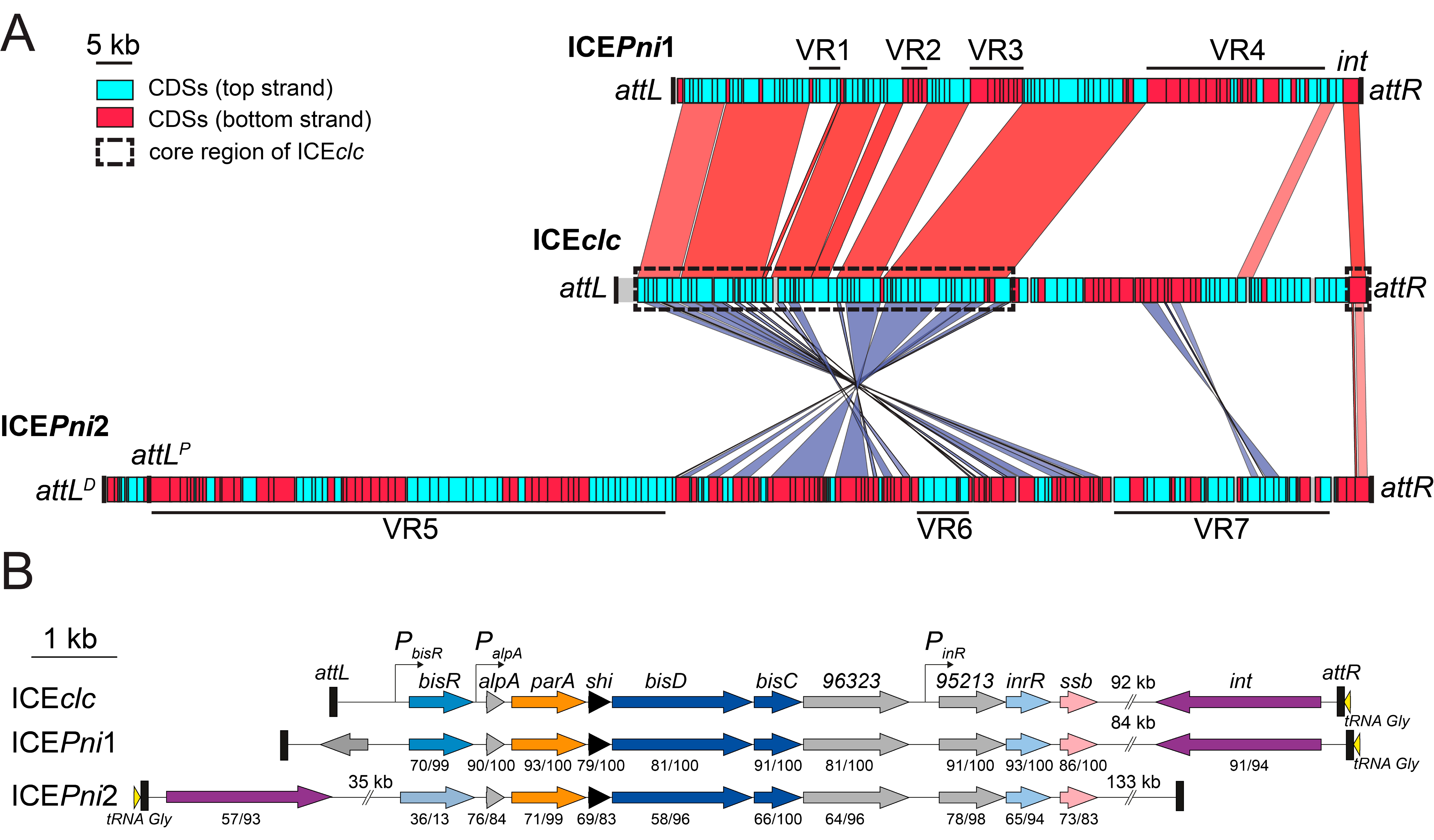 Genes 11 00930 g002 Genes 11 00930 g002