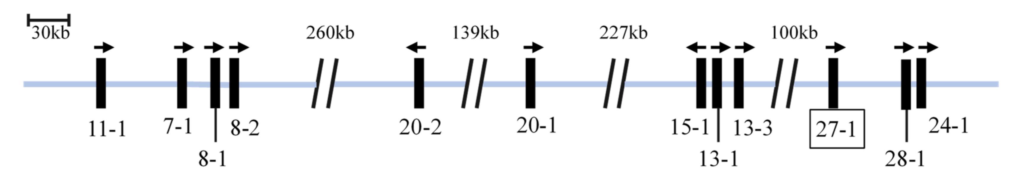 Genes 11 00934 g001 Genes 11 00934 g001