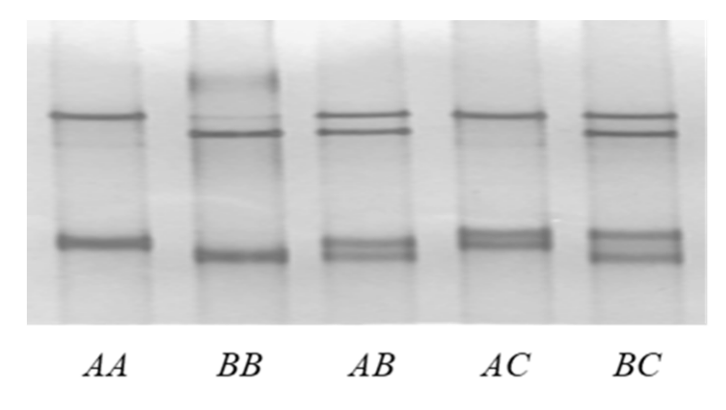 Genes 11 00934 g002 Genes 11 00934 g002