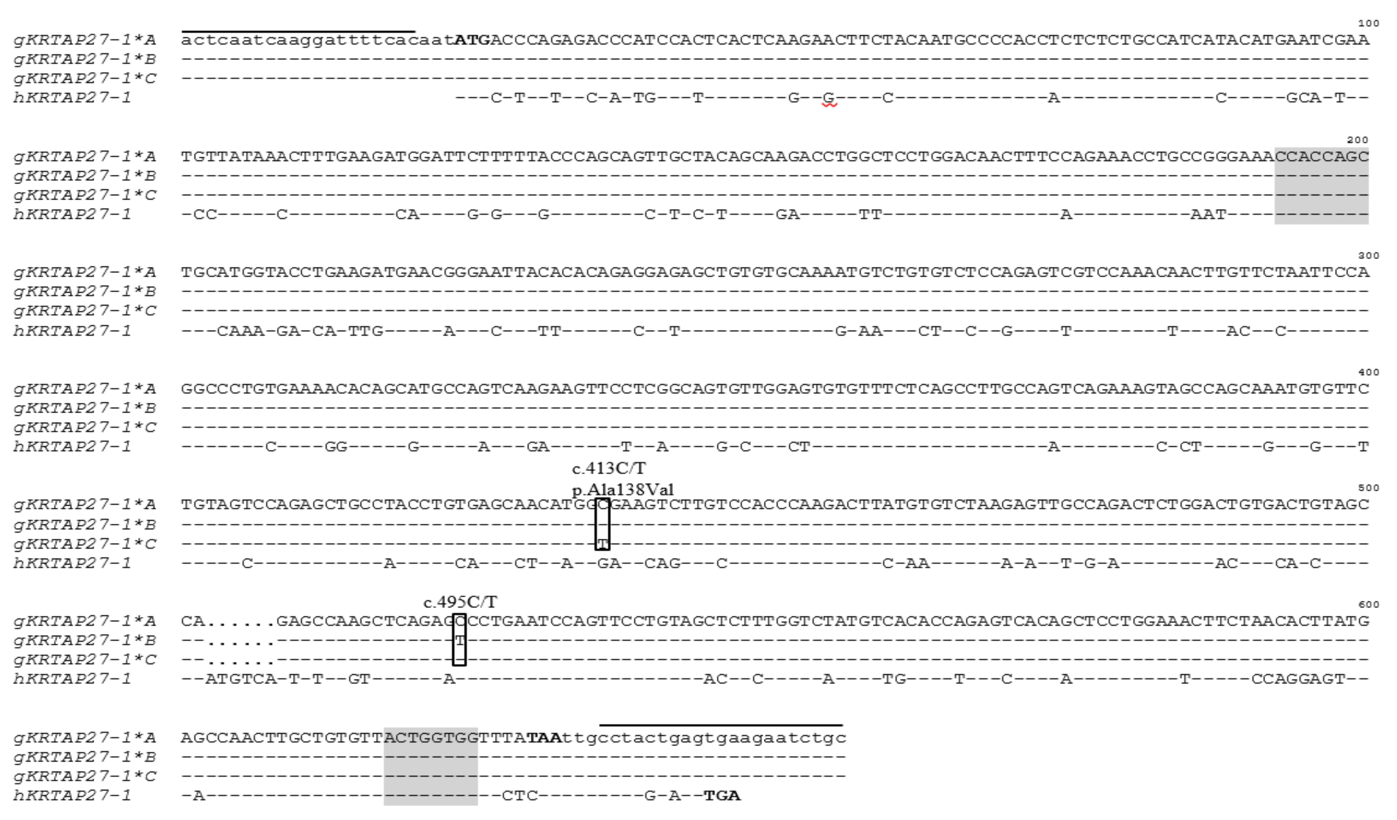 Genes 11 00934 g003 Genes 11 00934 g003