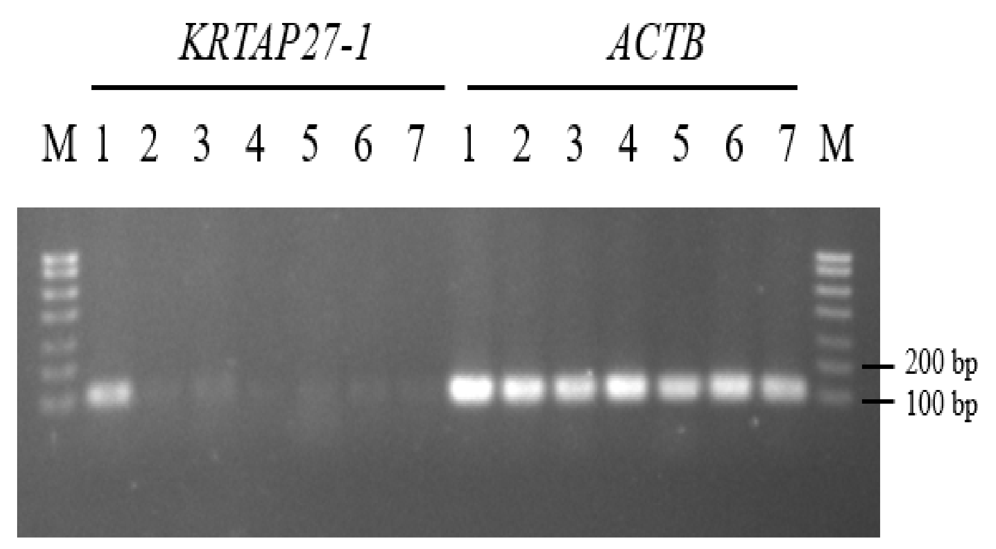 Genes 11 00934 g005 Genes 11 00934 g005