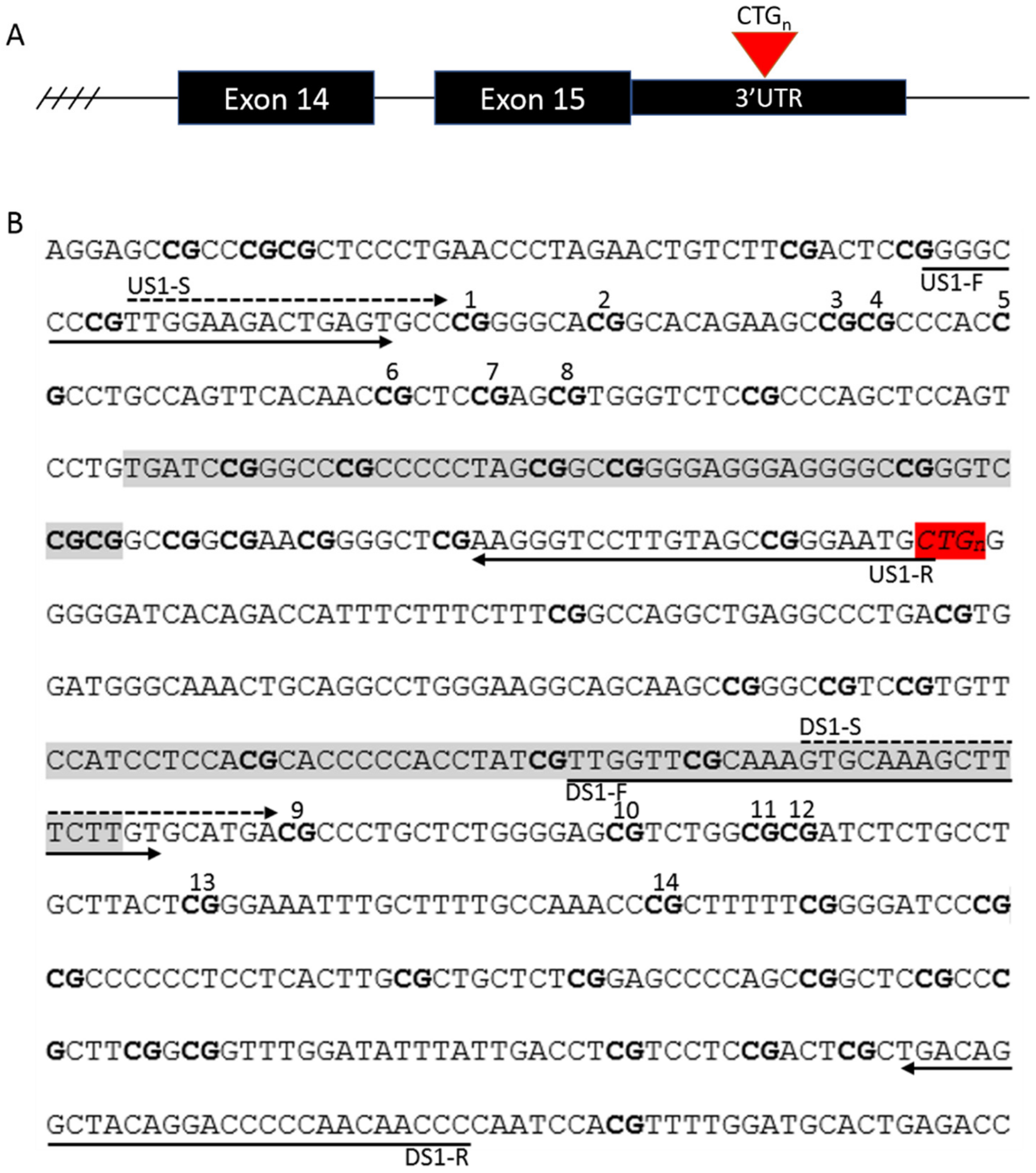 Genes 11 00936 g001