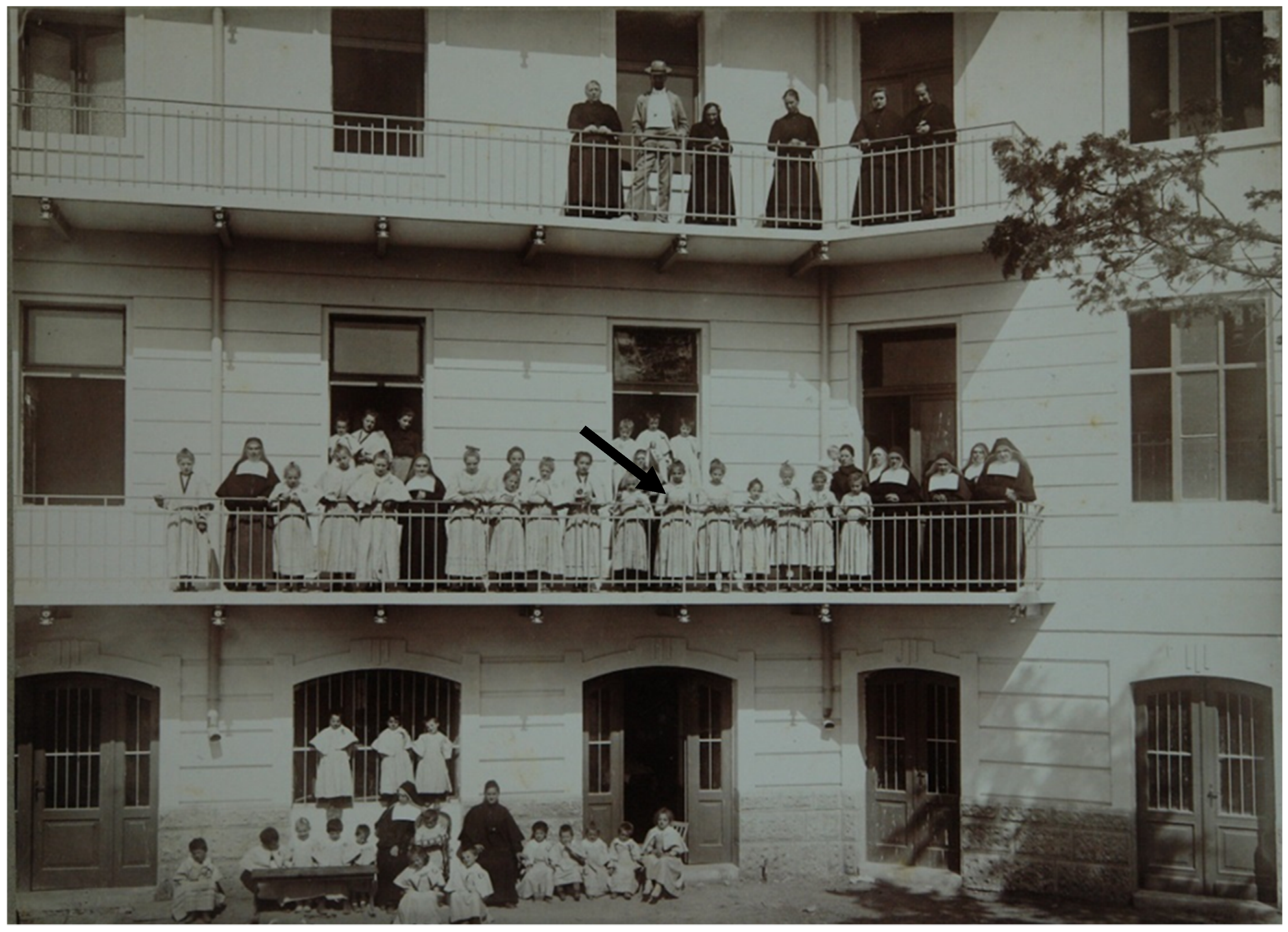 Genes 11 00938 g002 Genes 11 00938 g002