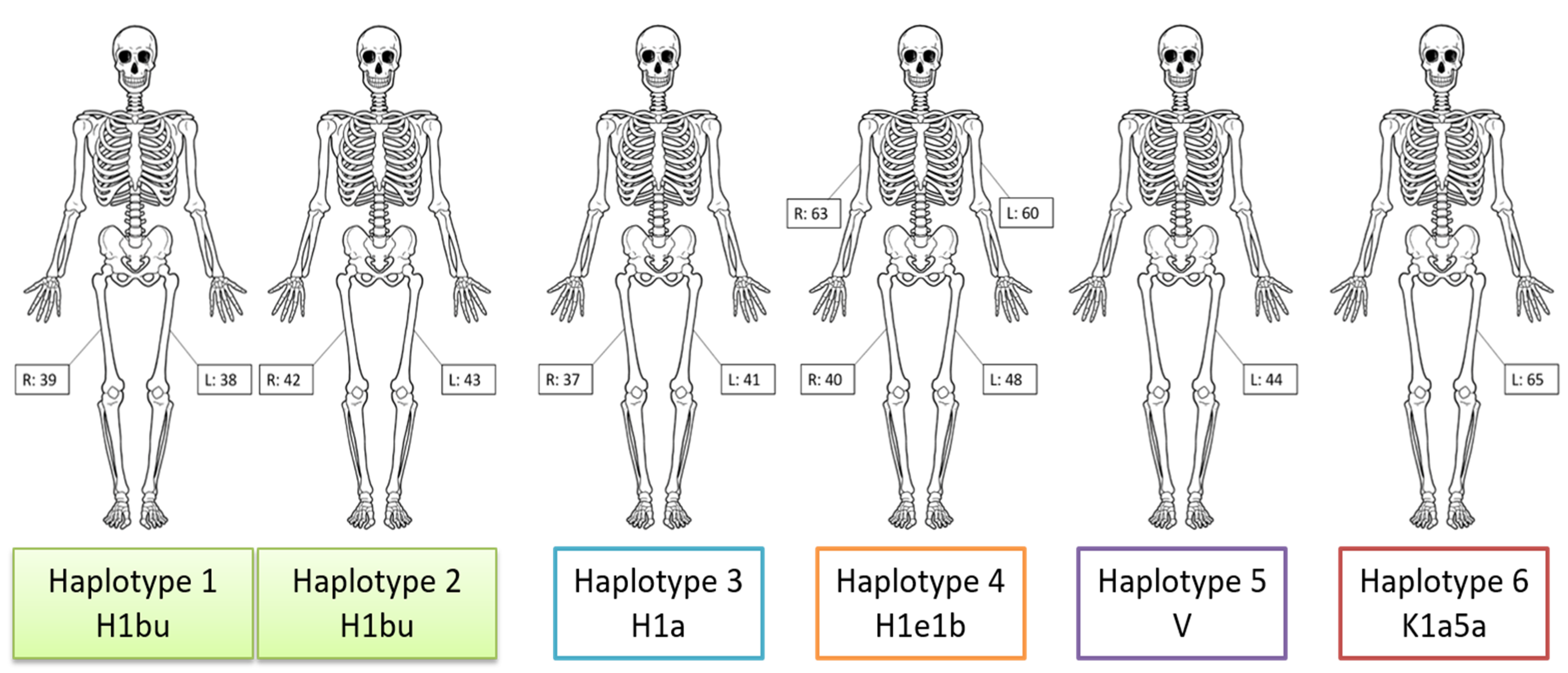 Genes 11 00938 g003 Genes 11 00938 g003