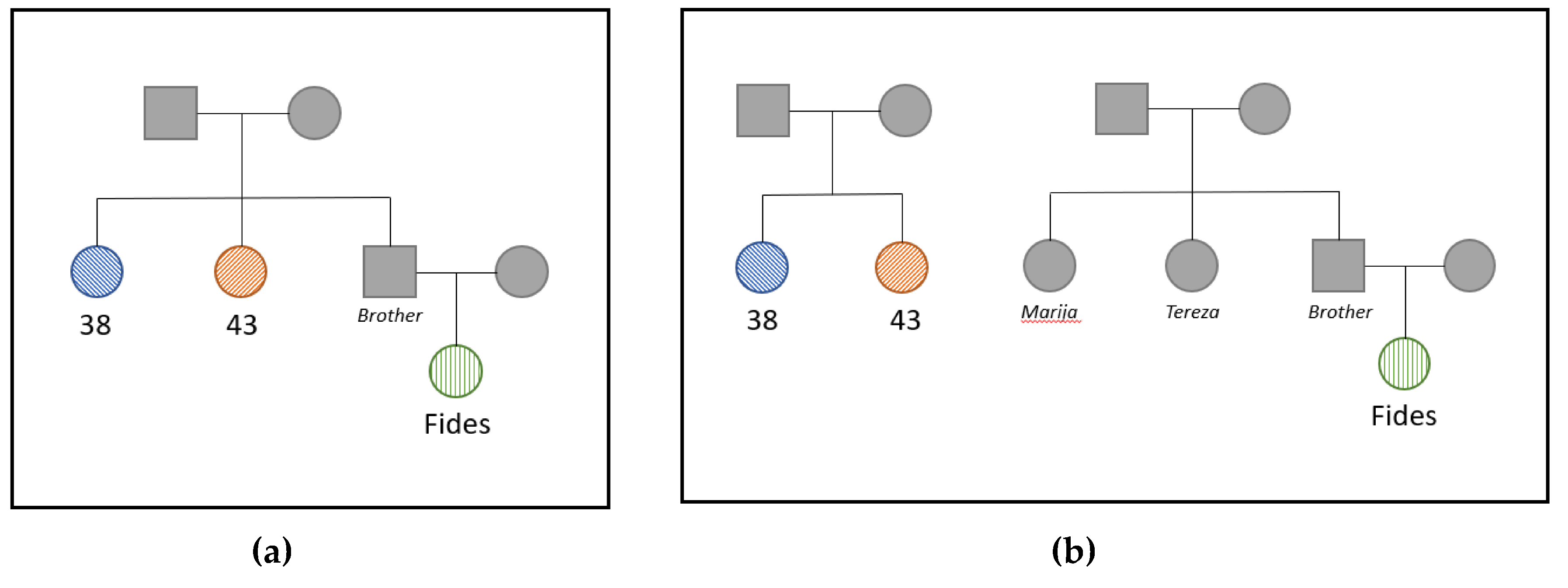 Genes 11 00938 g005 Genes 11 00938 g005
