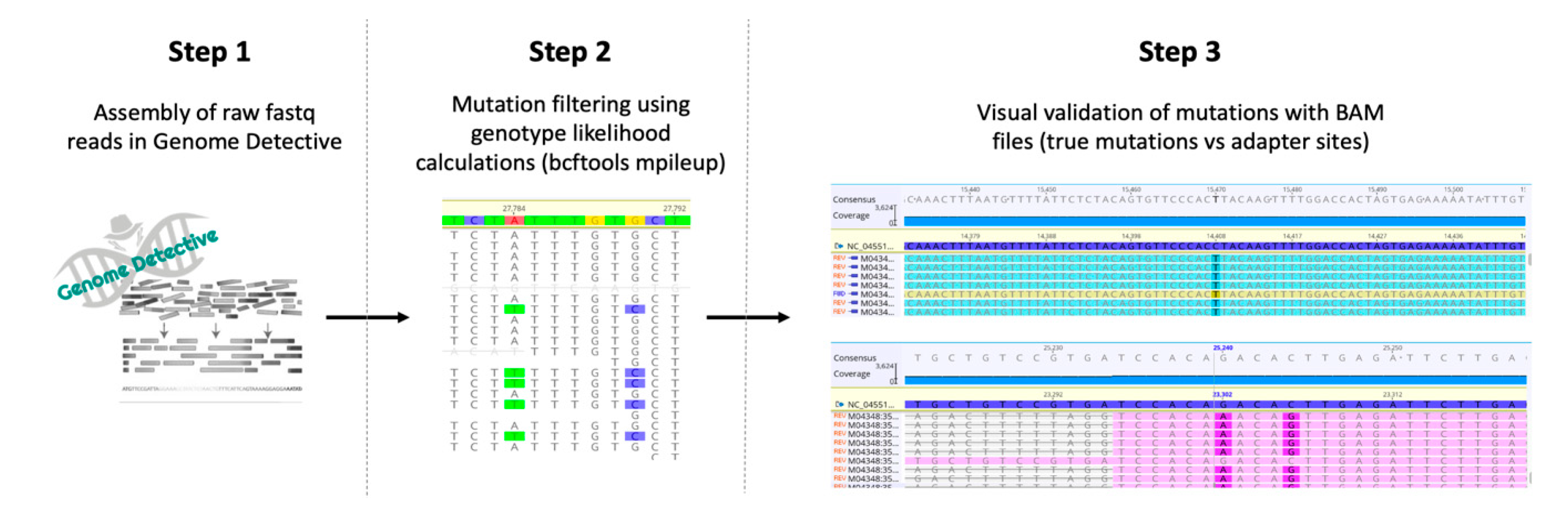 Genes 11 00949 g002 Genes 11 00949 g002