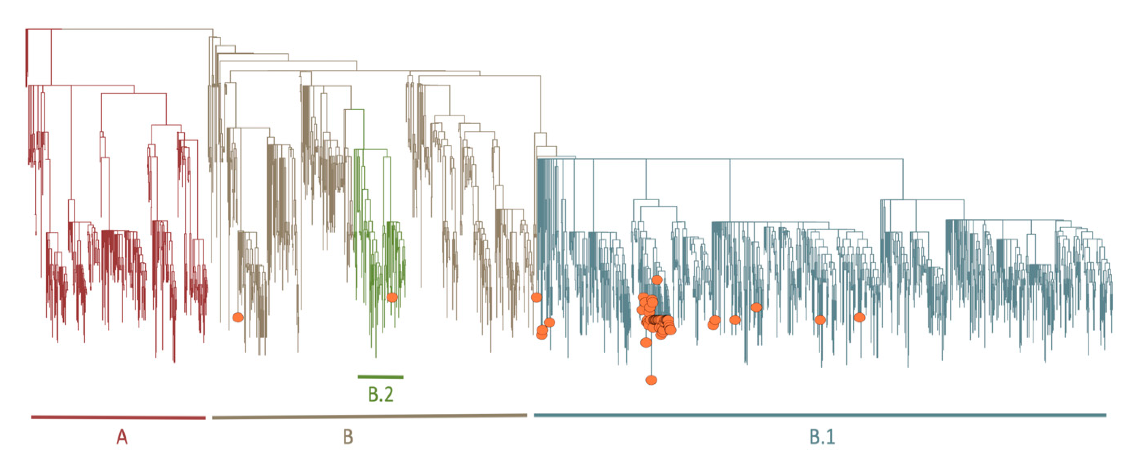 Genes 11 00949 g005 Genes 11 00949 g005