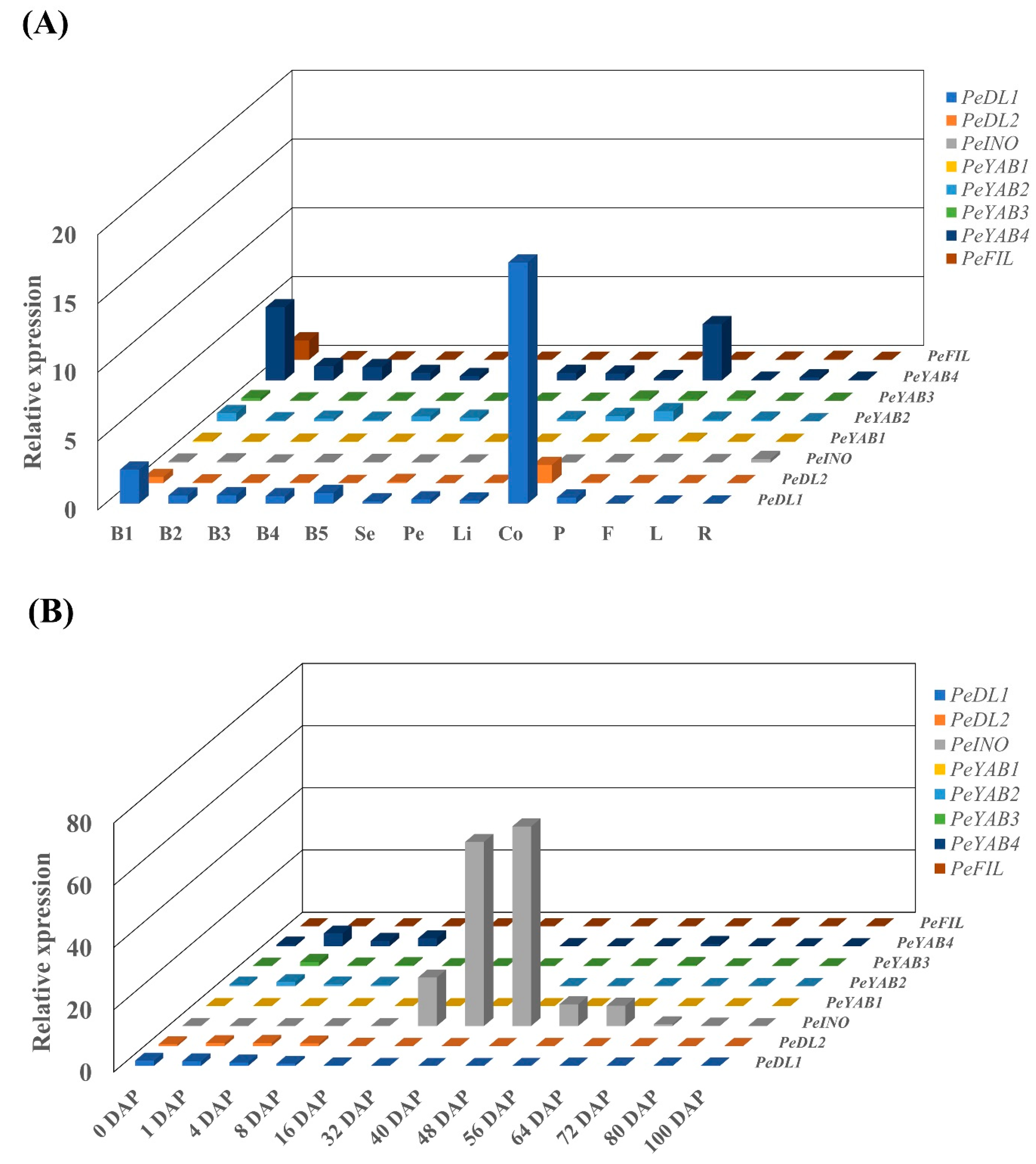 Genes 11 00955 g008