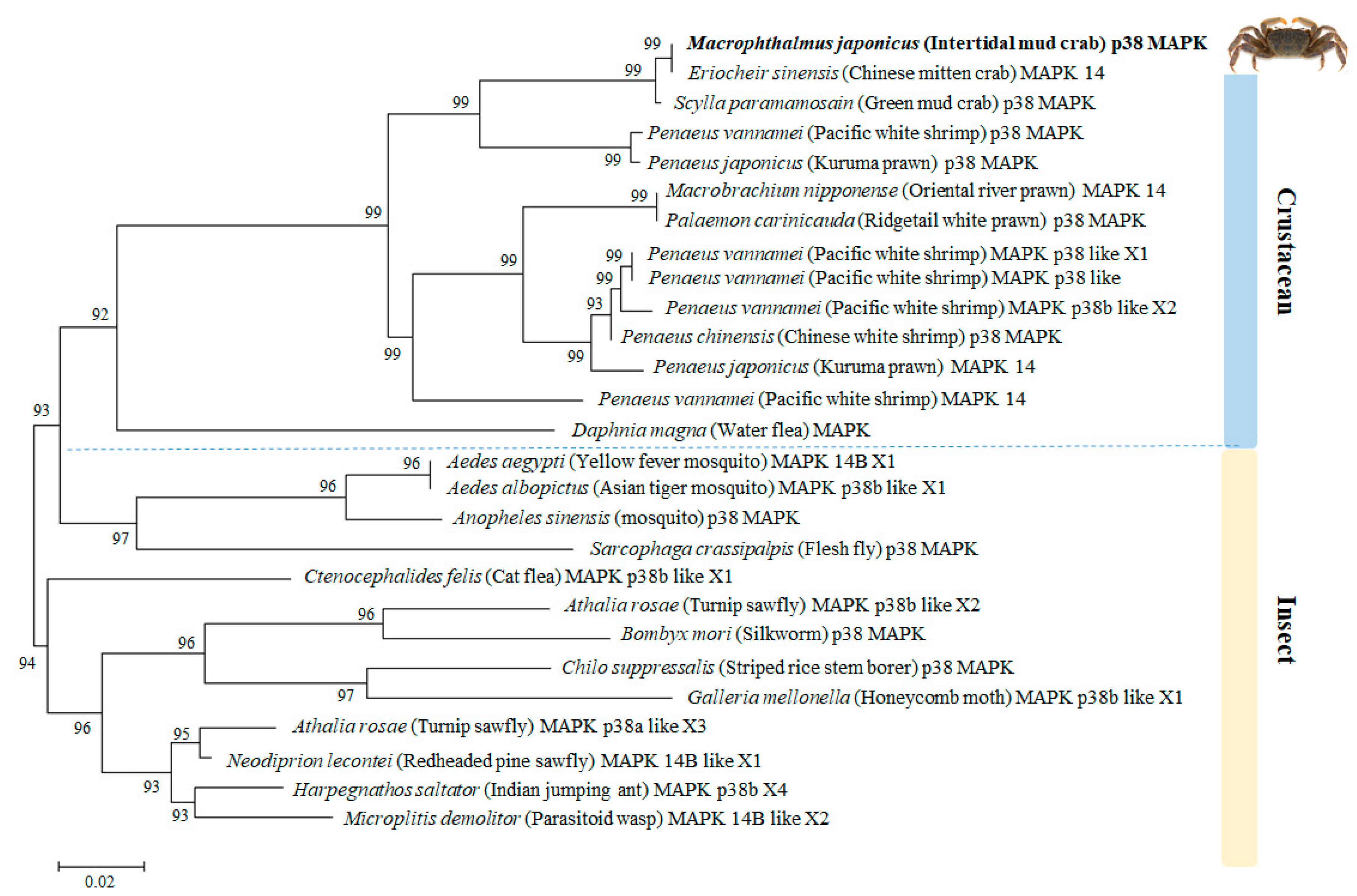 Genes 11 00958 g002