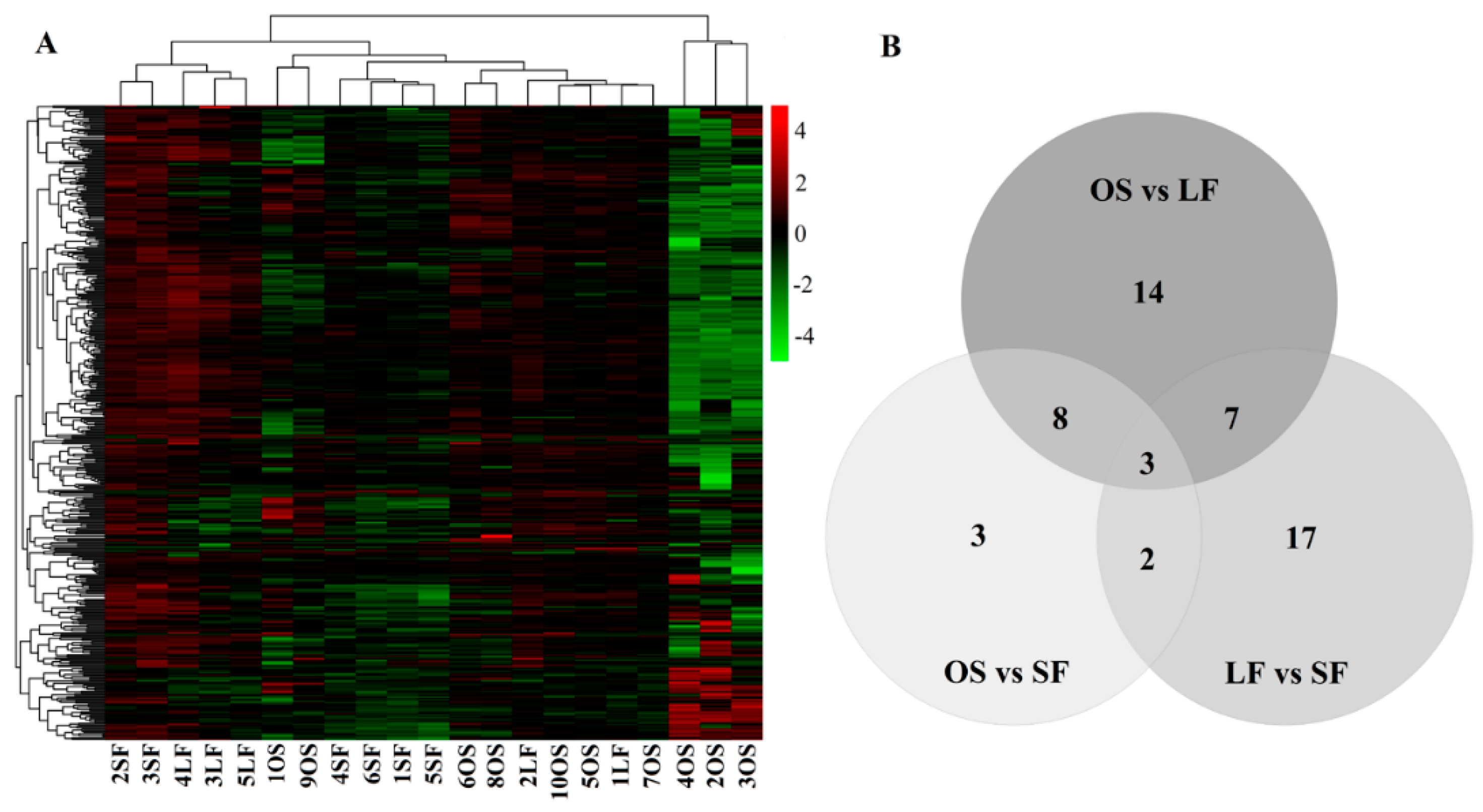 Genes 11 00970 g003