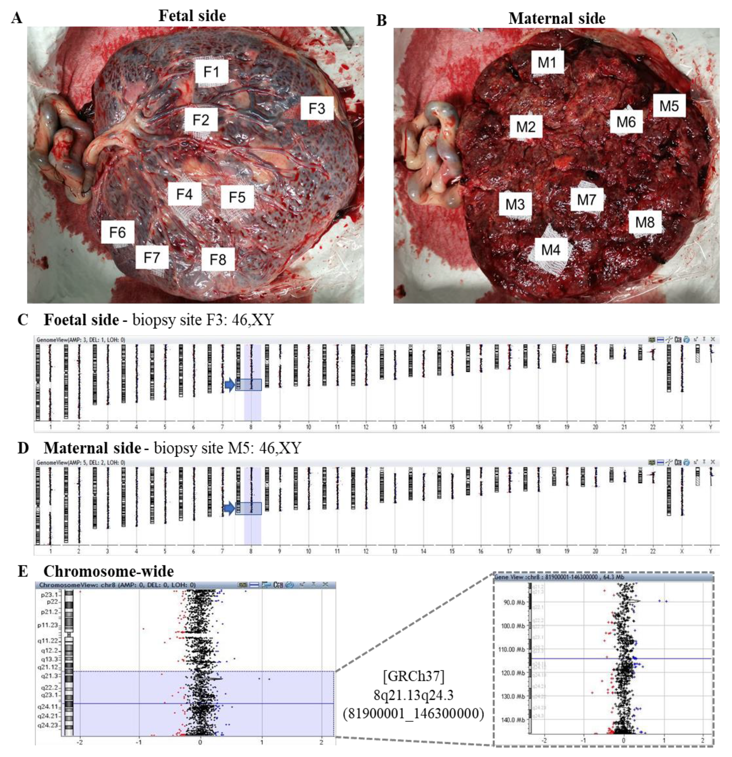 Genes 11 00973 g005 Genes 11 00973 g005