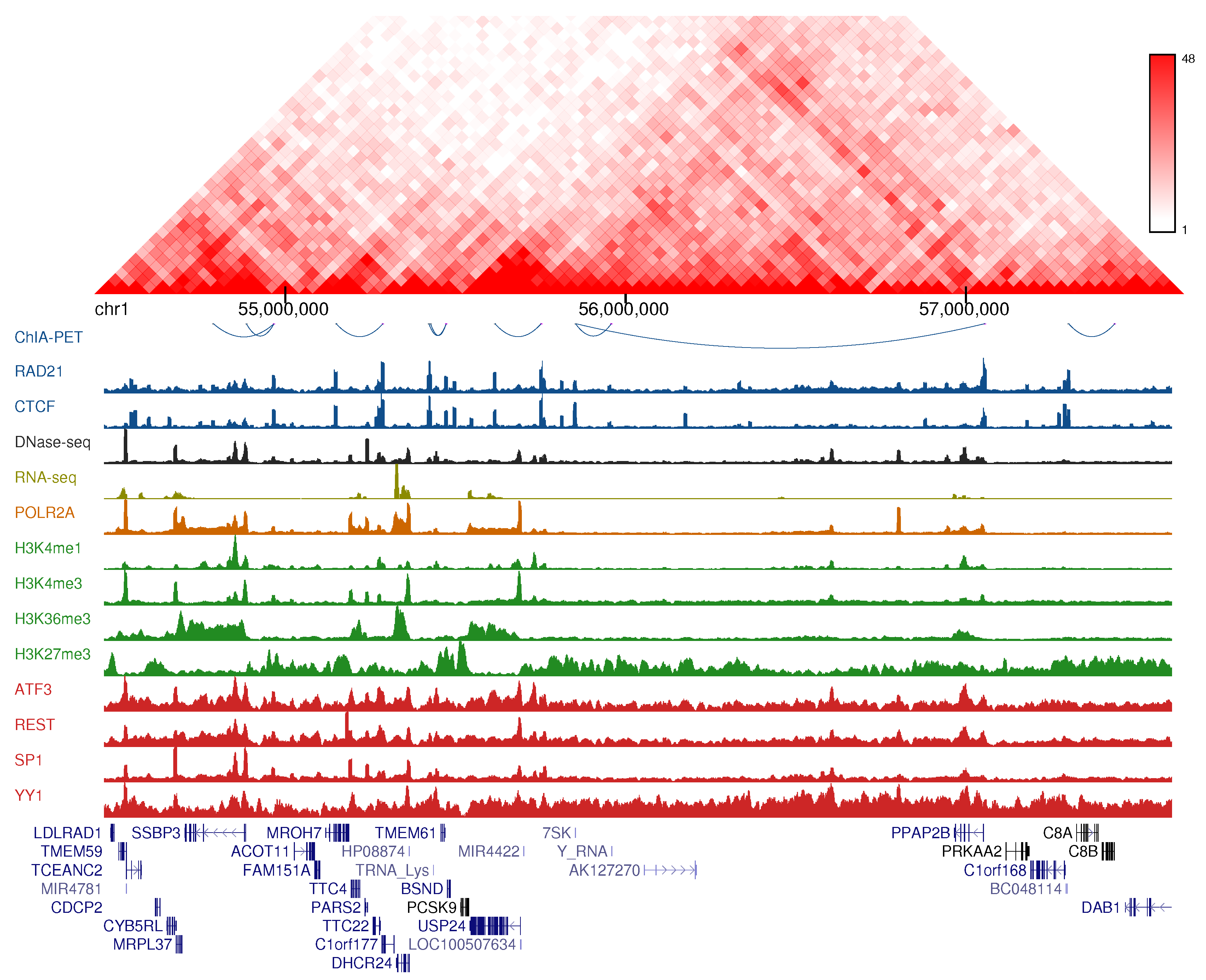 Genes 11 00985 g001 Genes 11 00985 g001