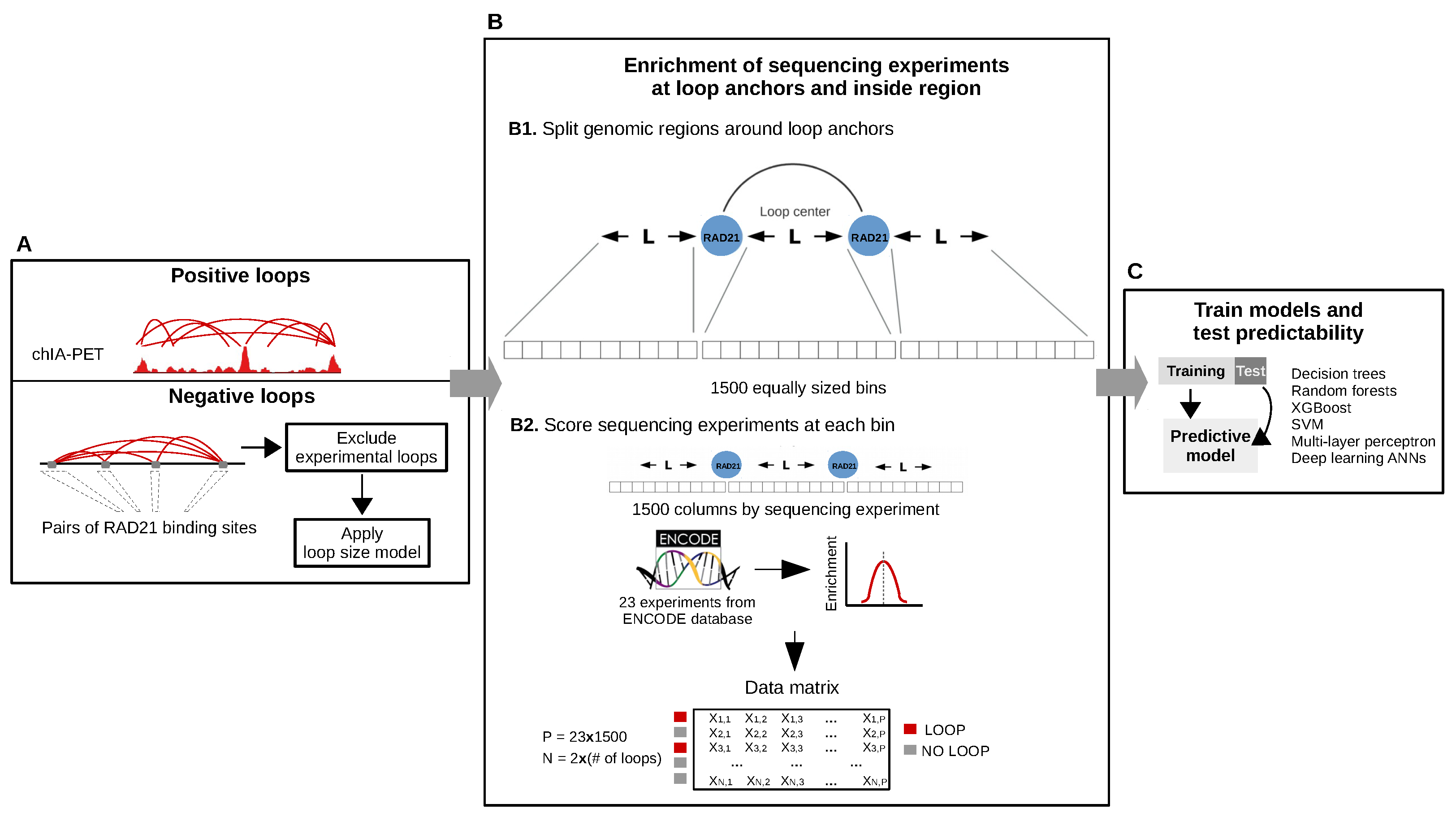Genes 11 00985 g002 Genes 11 00985 g002