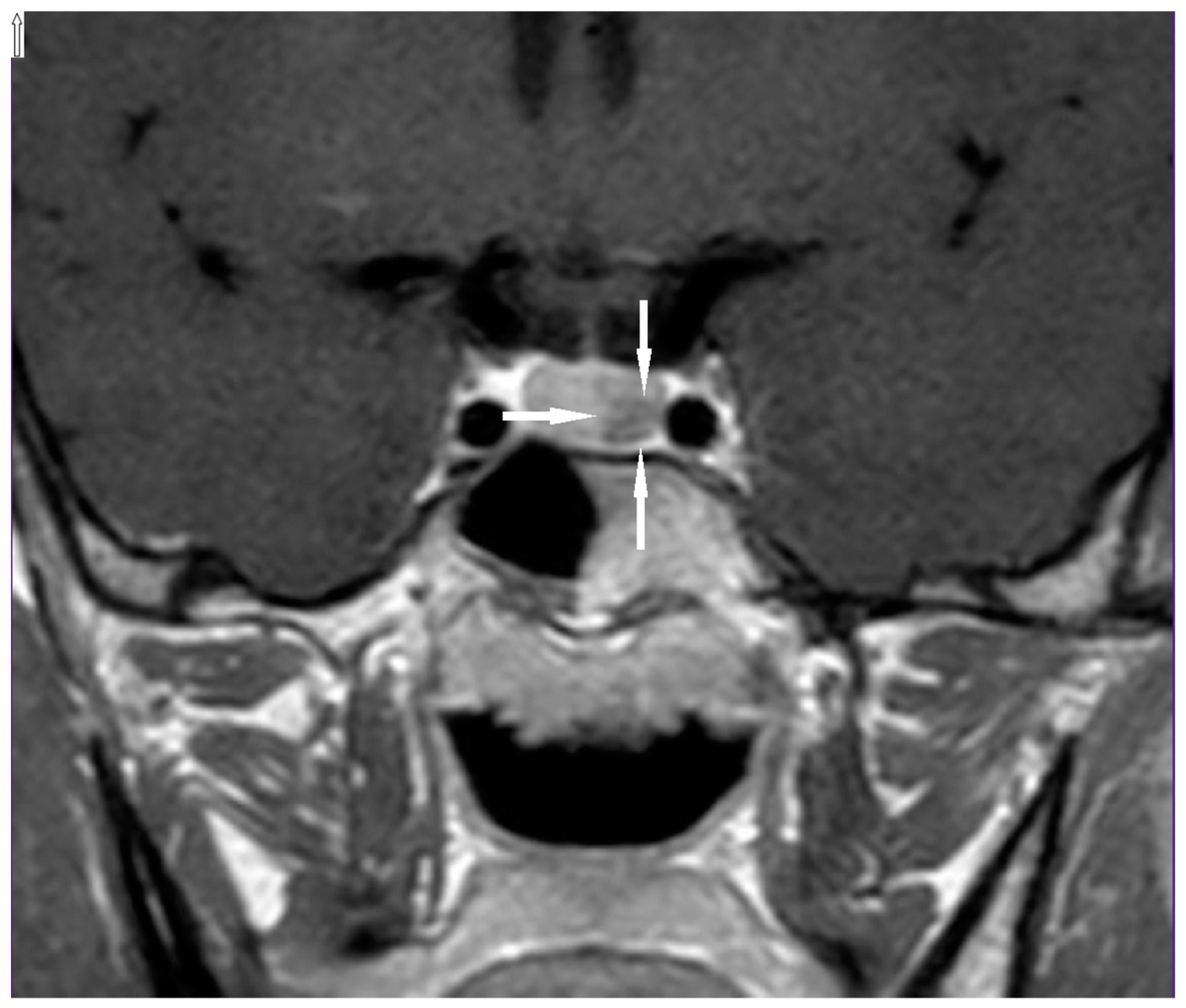 Genes 11 00986 g002 Genes 11 00986 g002
