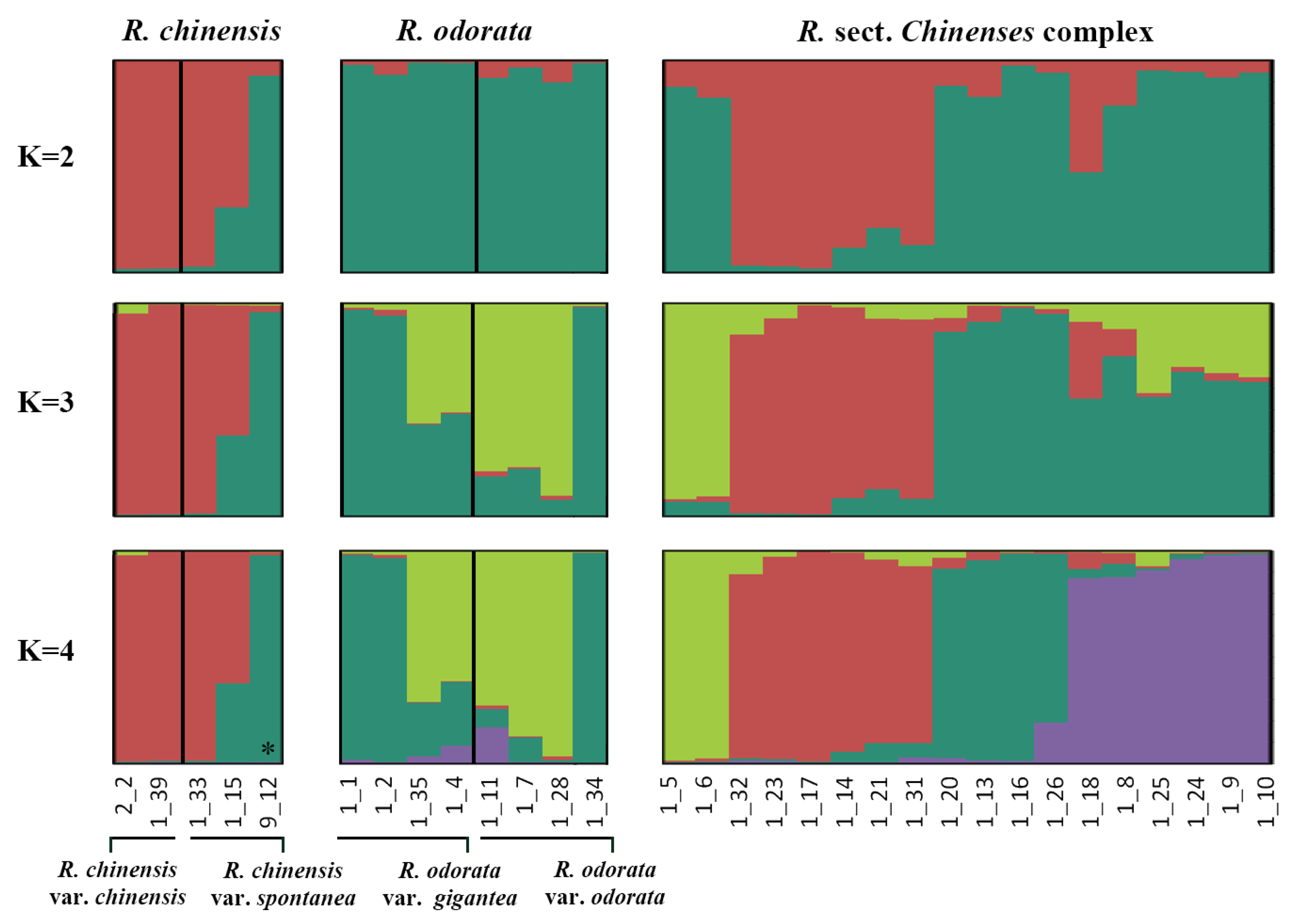 Genes 11 00996 g003