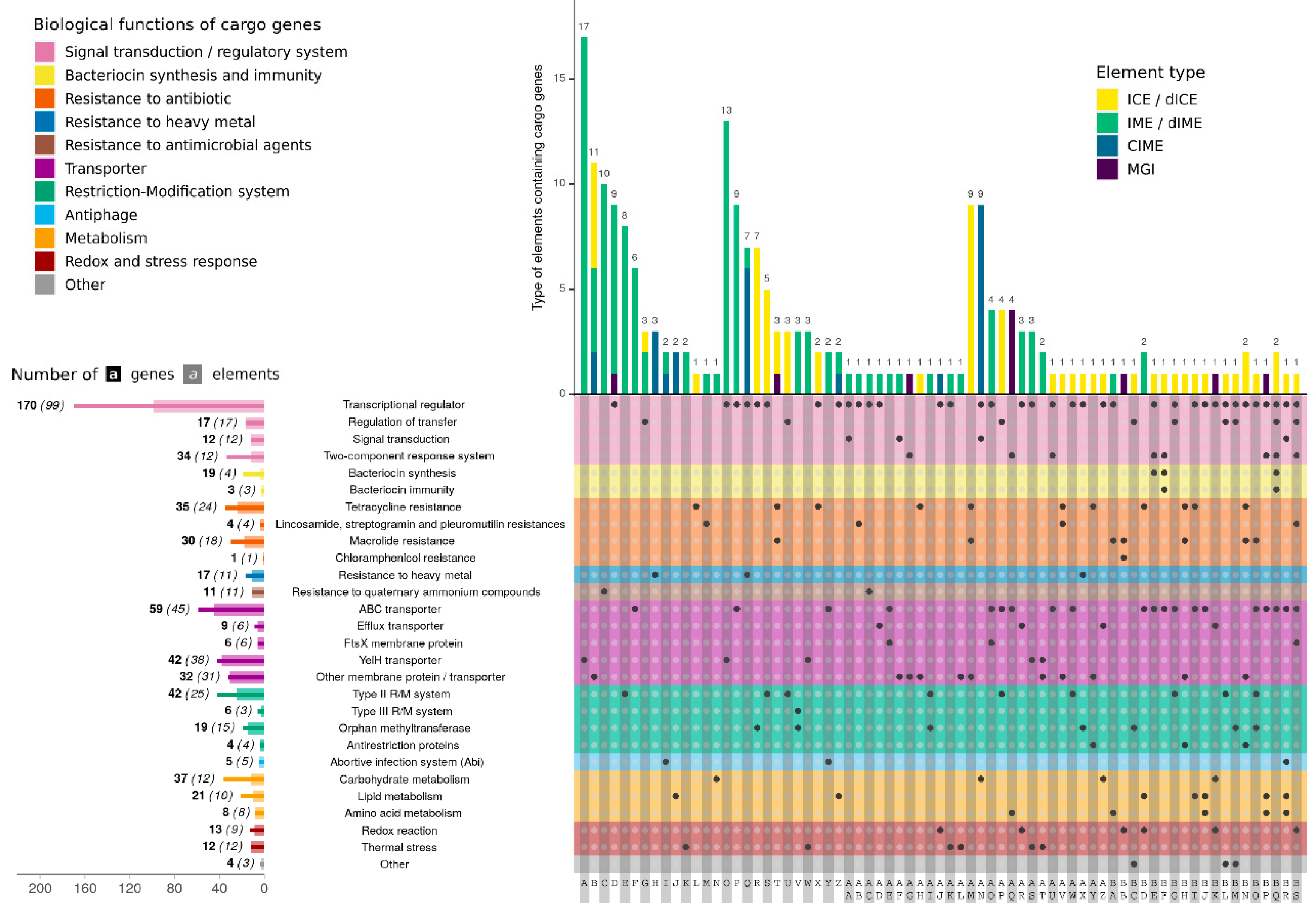 Genes 11 00999 g003 Genes 11 00999 g003