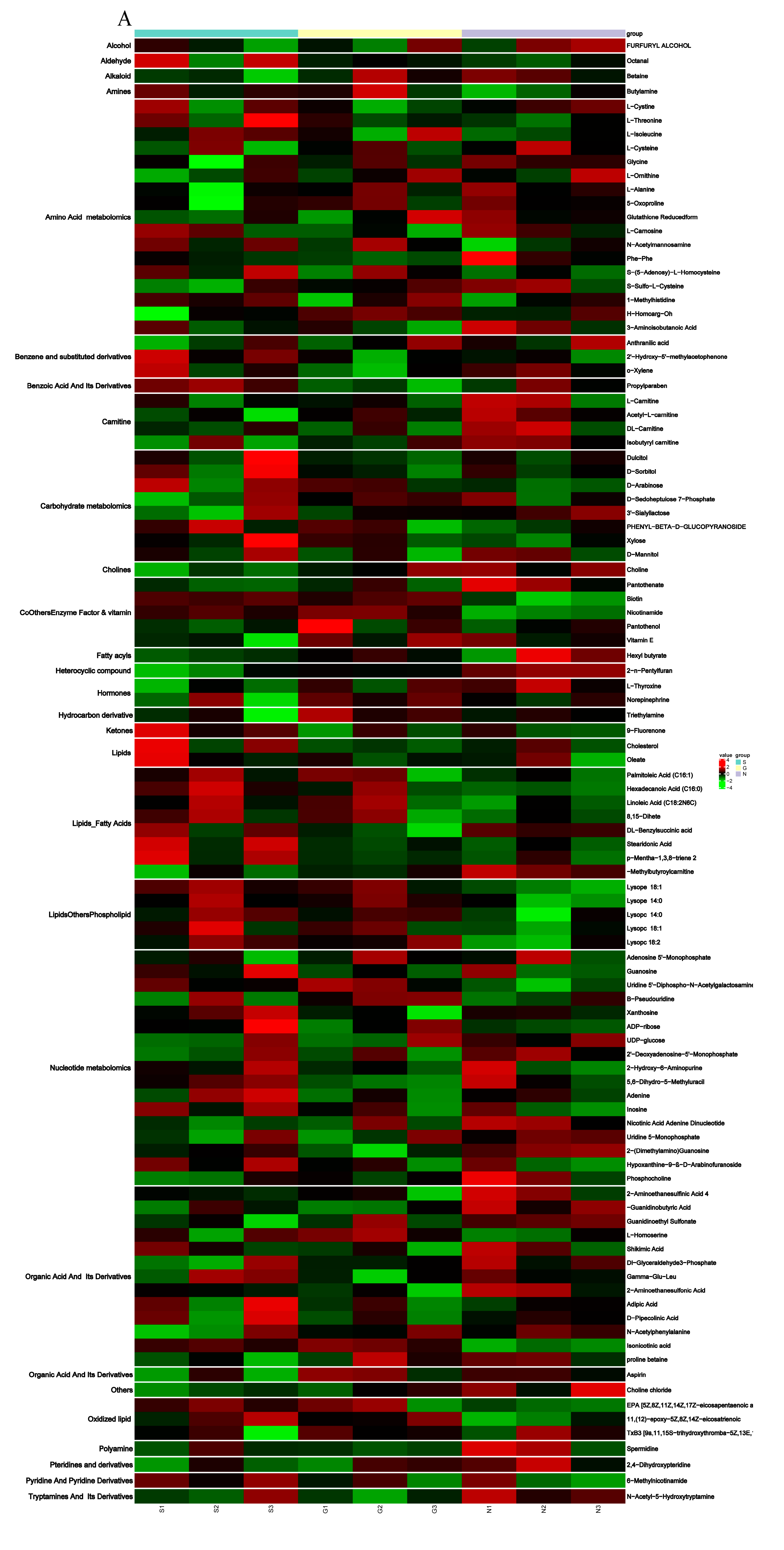 Genes 11 01001 g005a