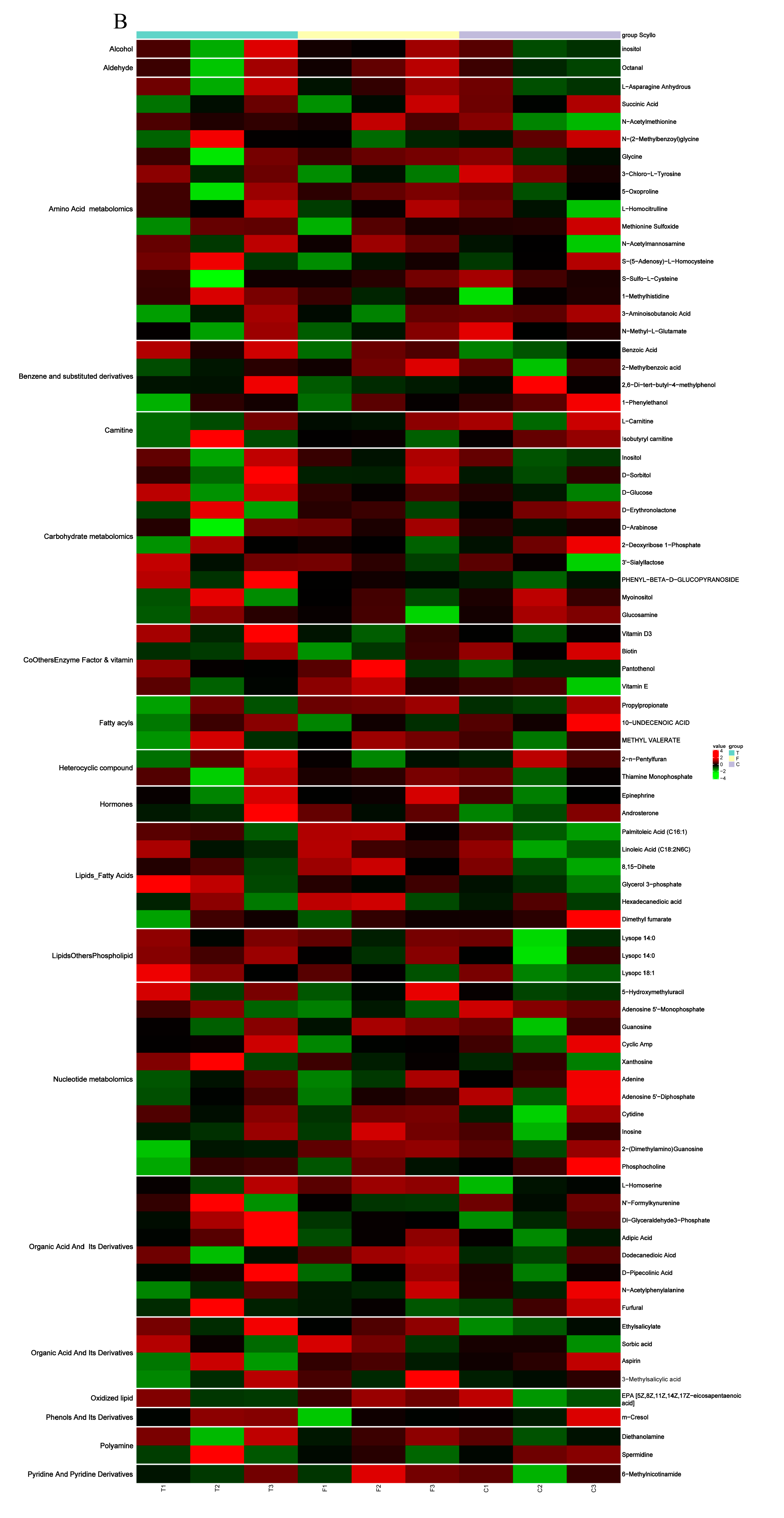 Genes 11 01001 g005b