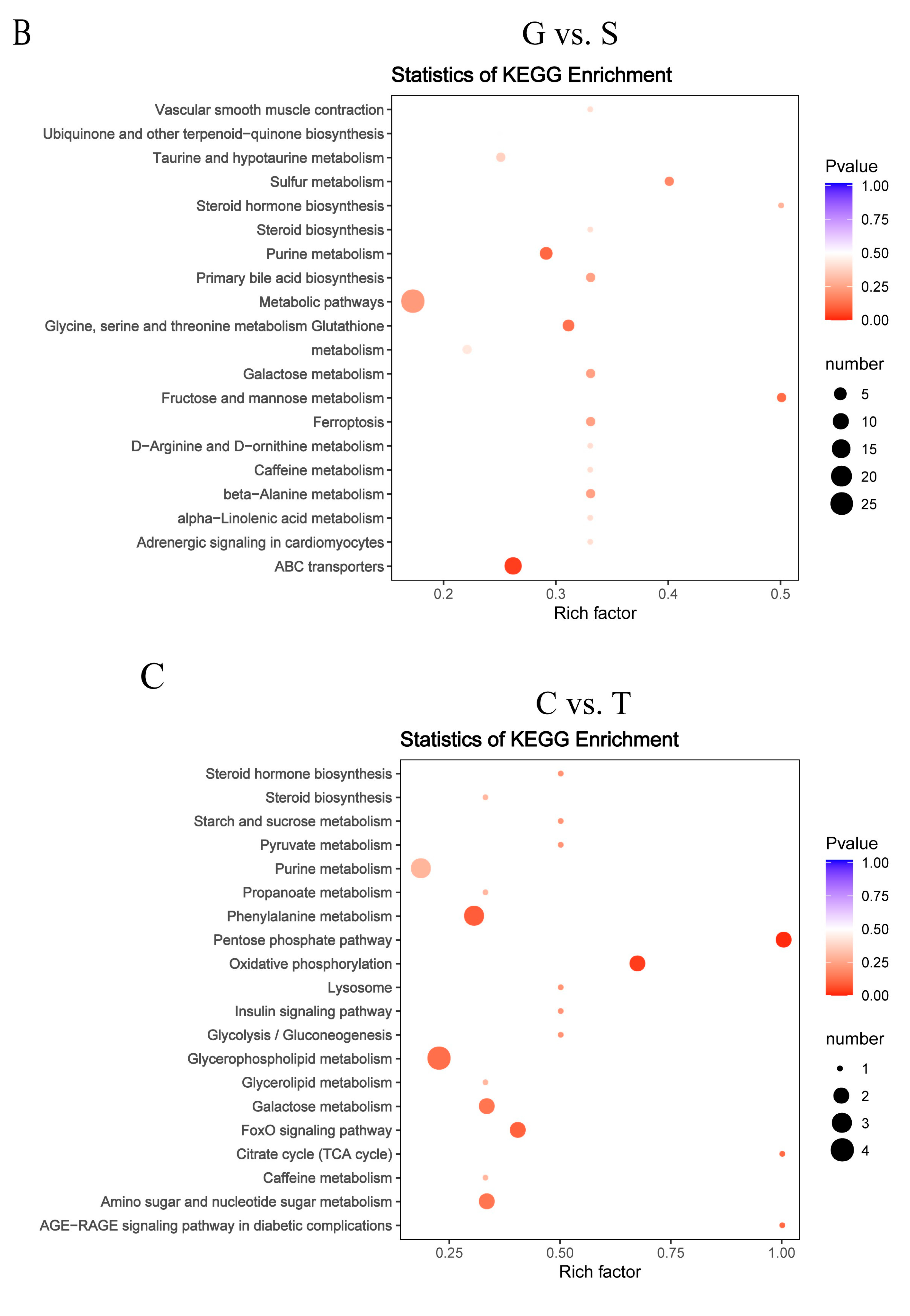 Genes 11 01001 g007b