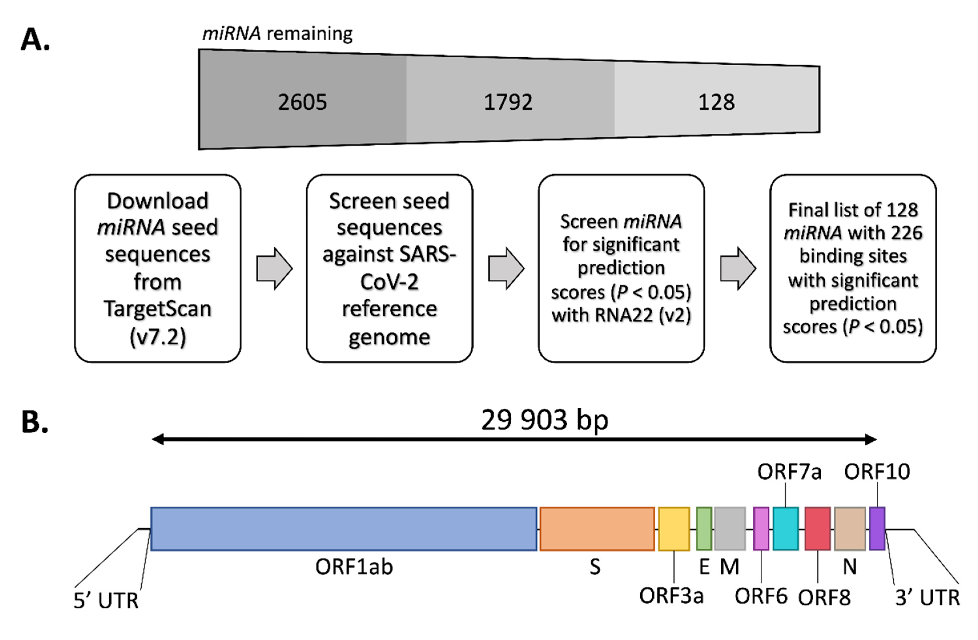 Genes 11 01002 g001