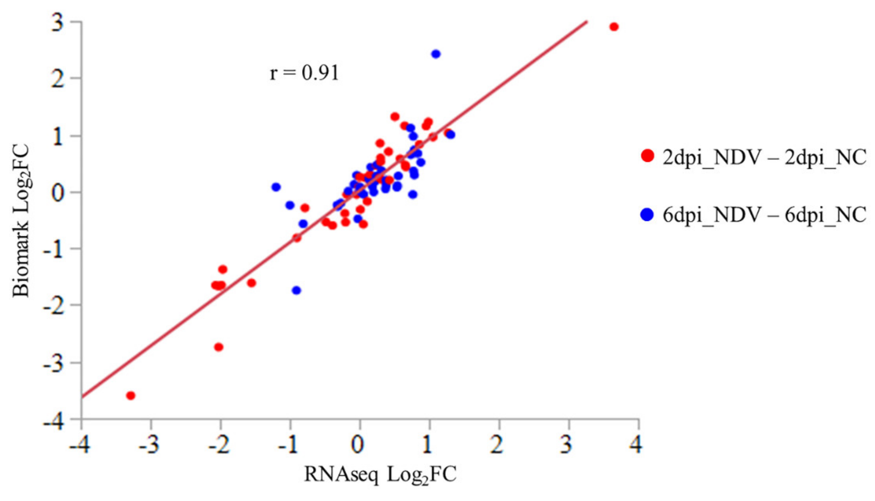 Genes 11 01003 g001