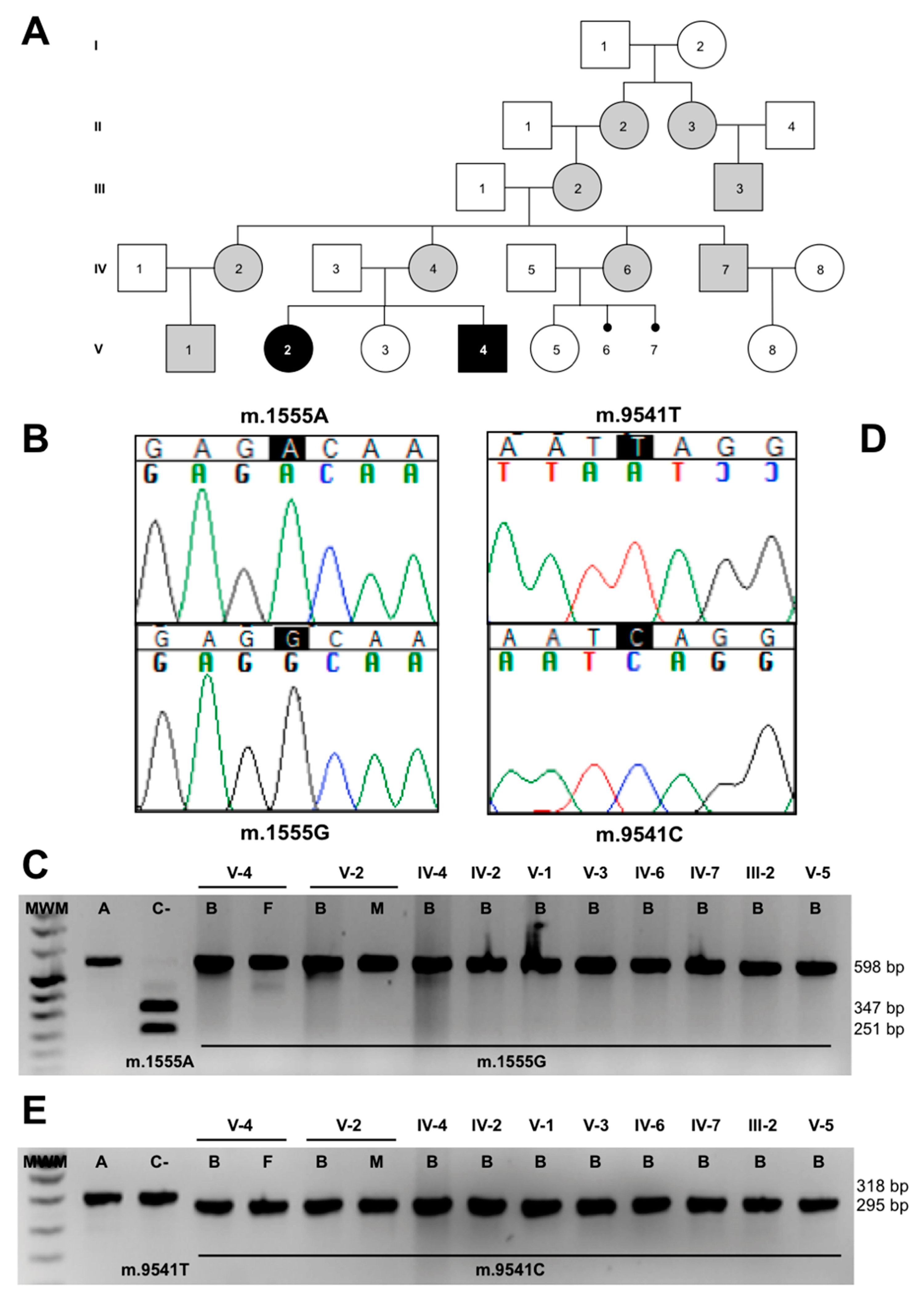 Genes 11 01007 g003