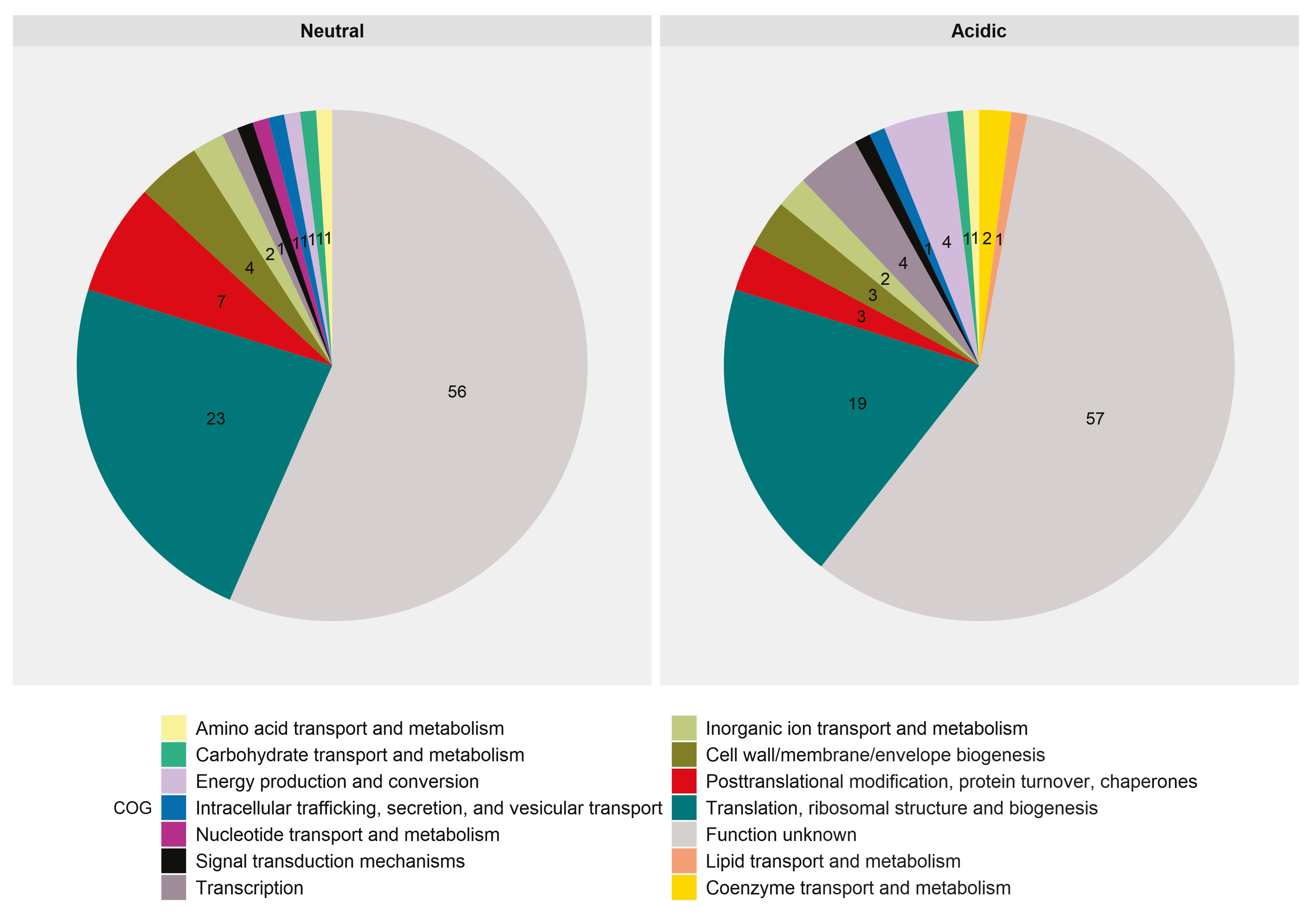 Genes 11 01016 g001