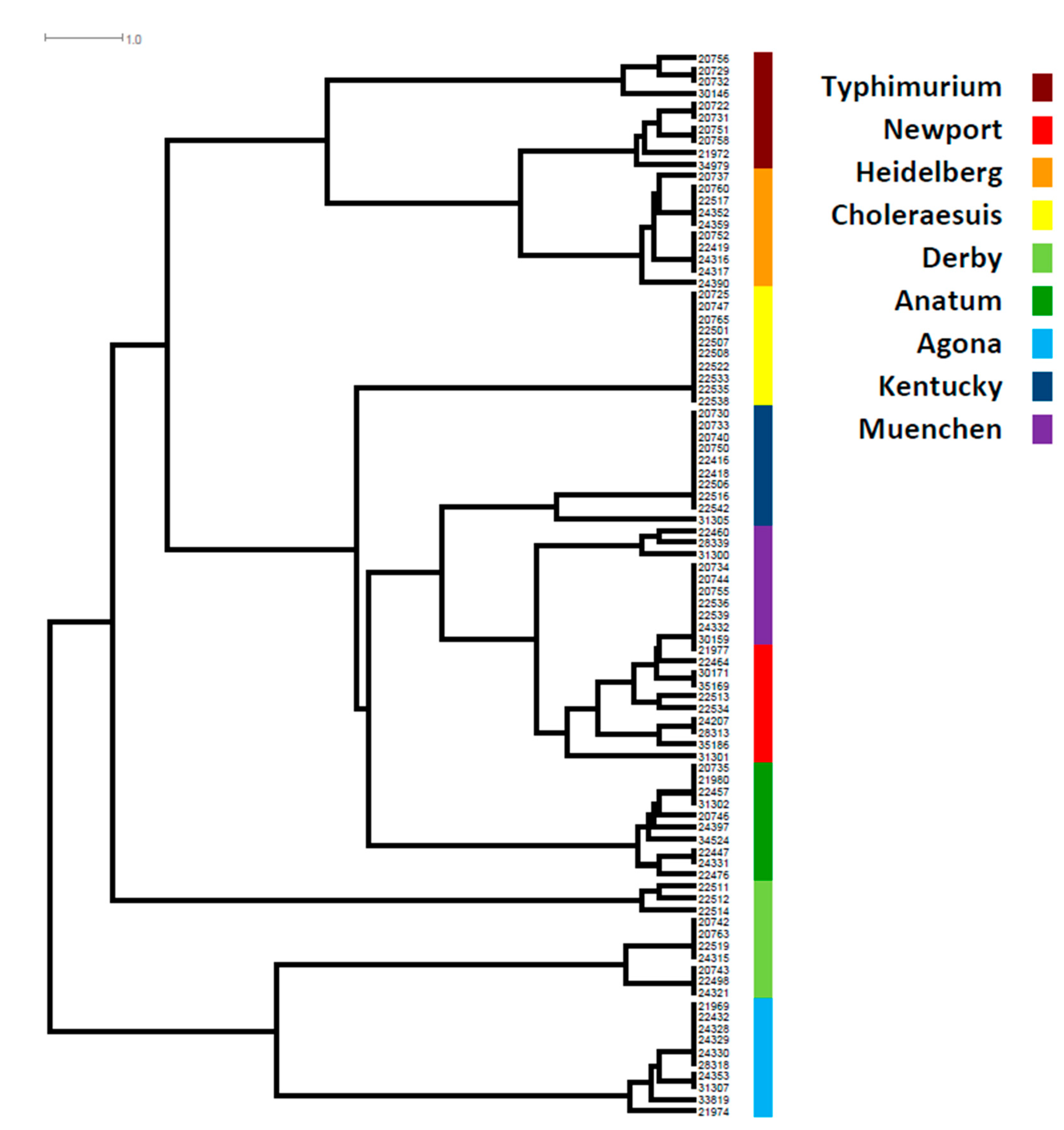 Genes 11 01025 g001
