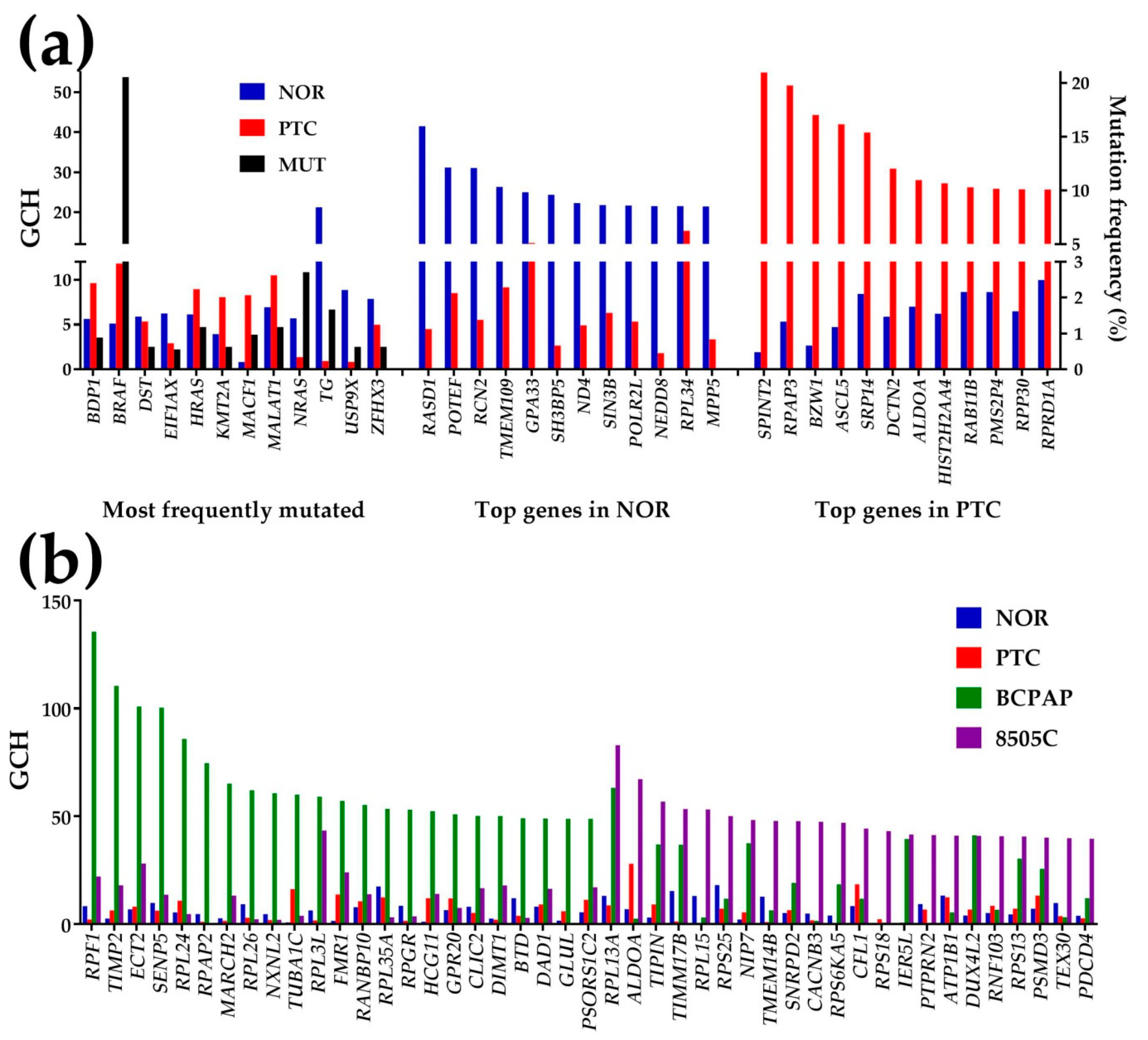 Genes 11 01030 g006 Genes 11 01030 g006