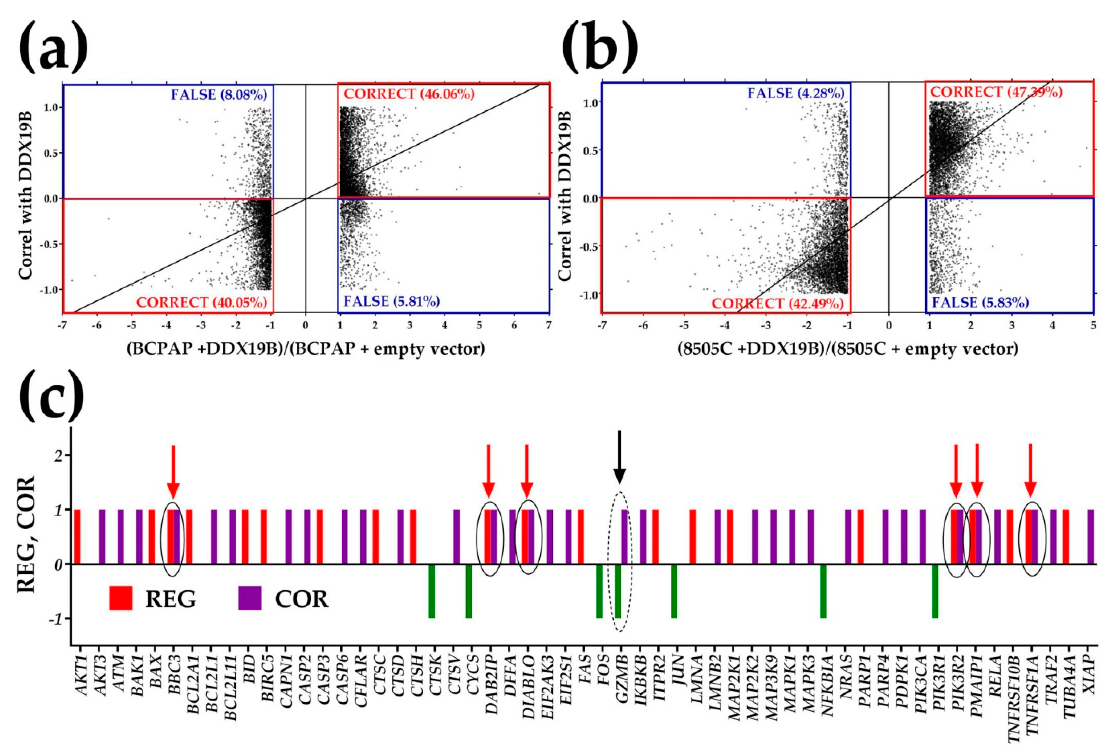 Genes 11 01030 g007 Genes 11 01030 g007