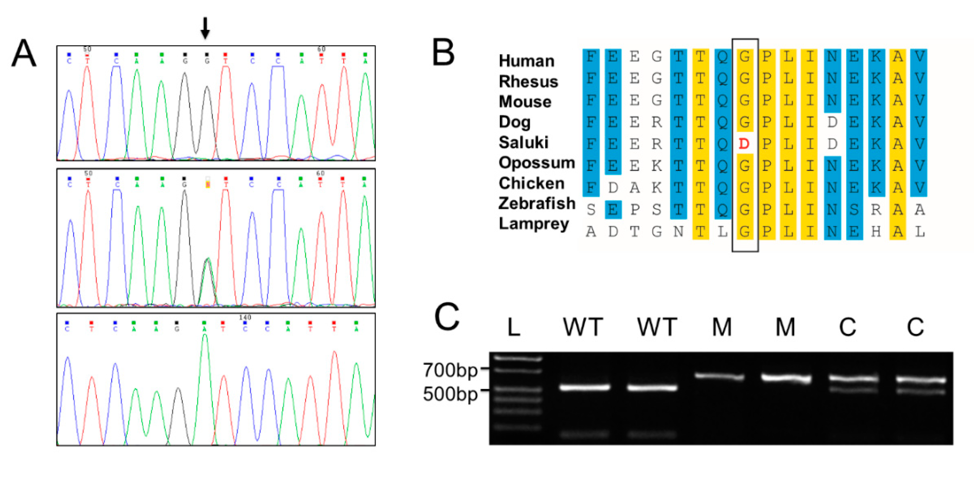 Genes 11 01033 g006