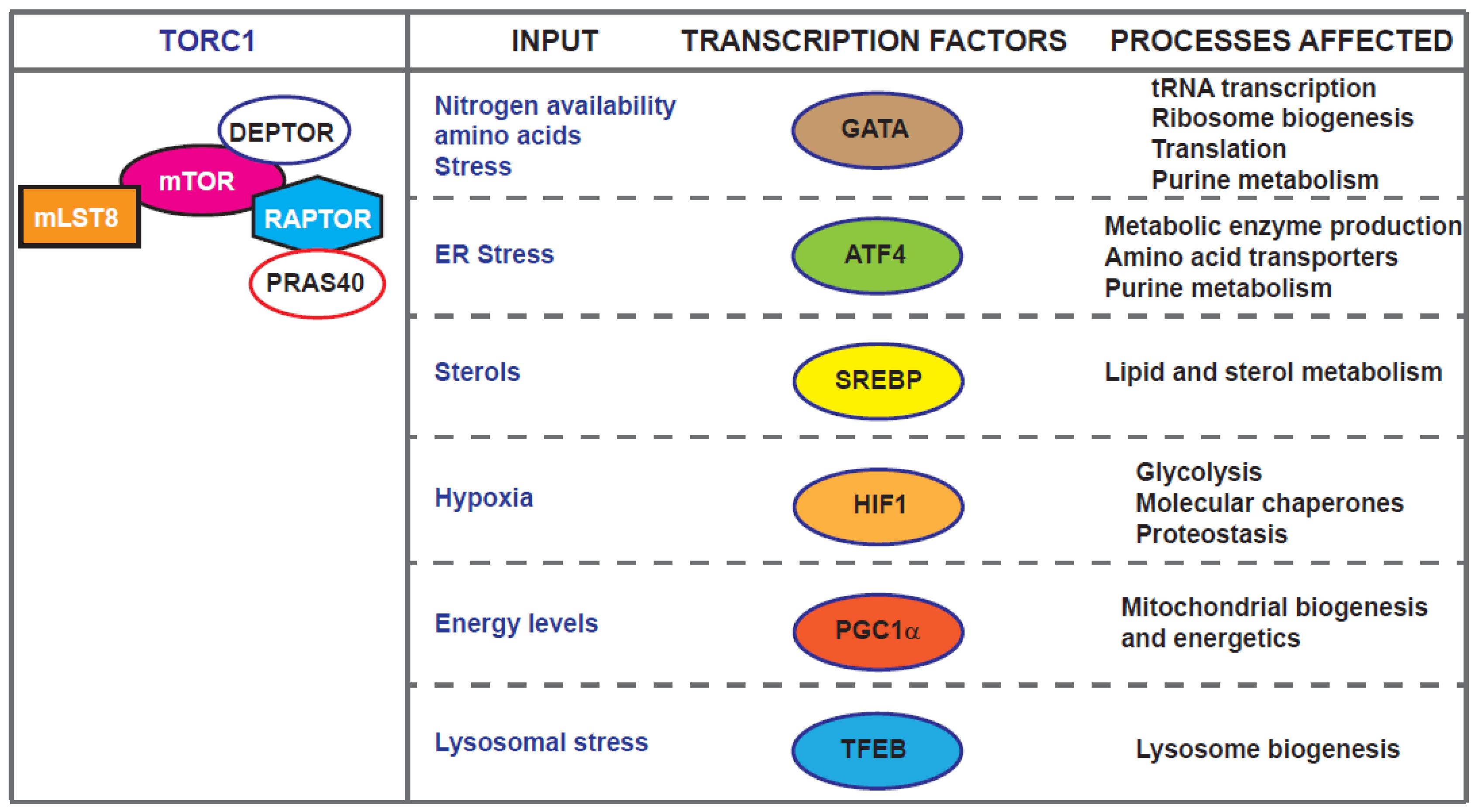 Genes 11 01043 g002