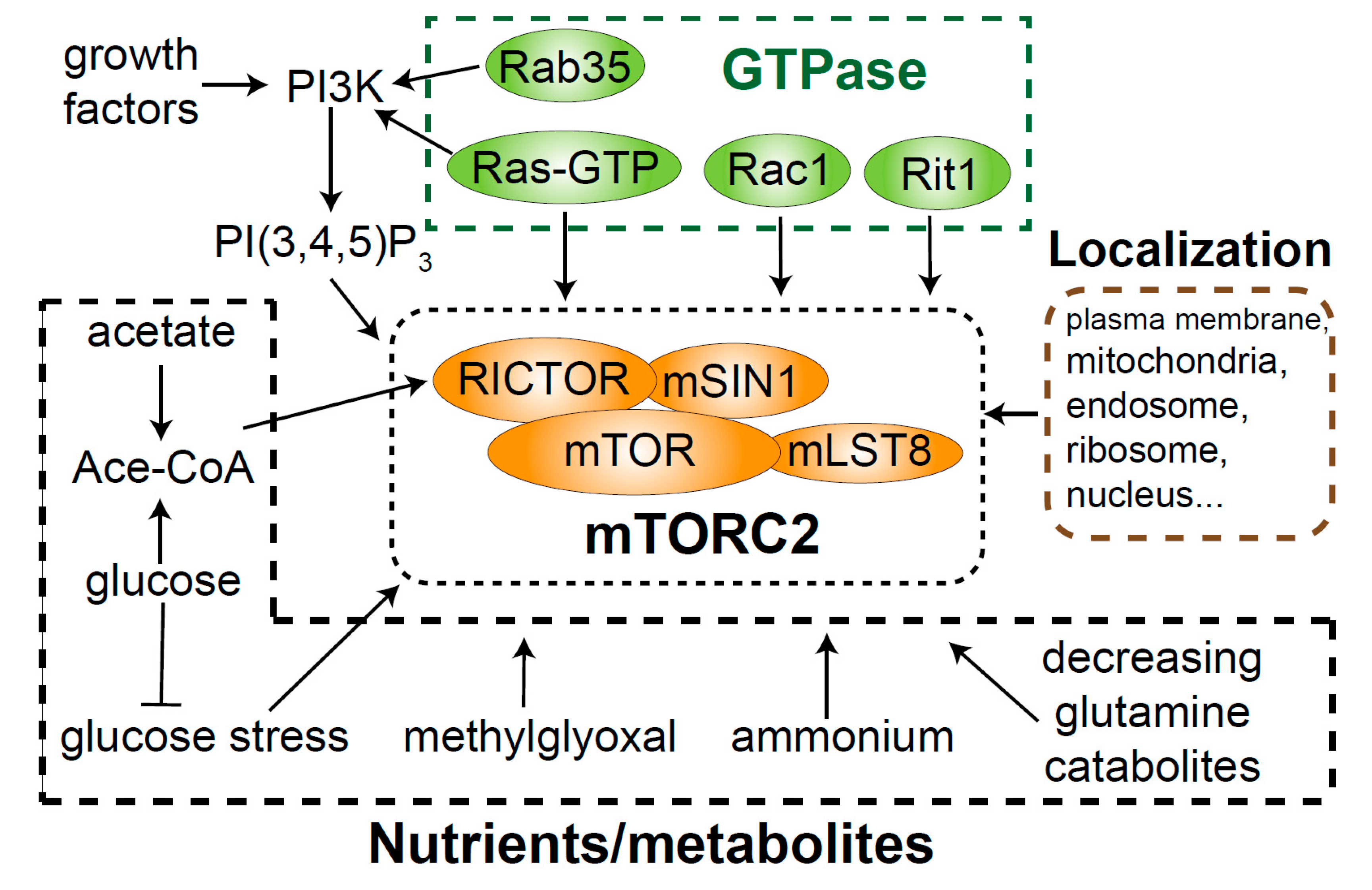 Genes 11 01045 g003